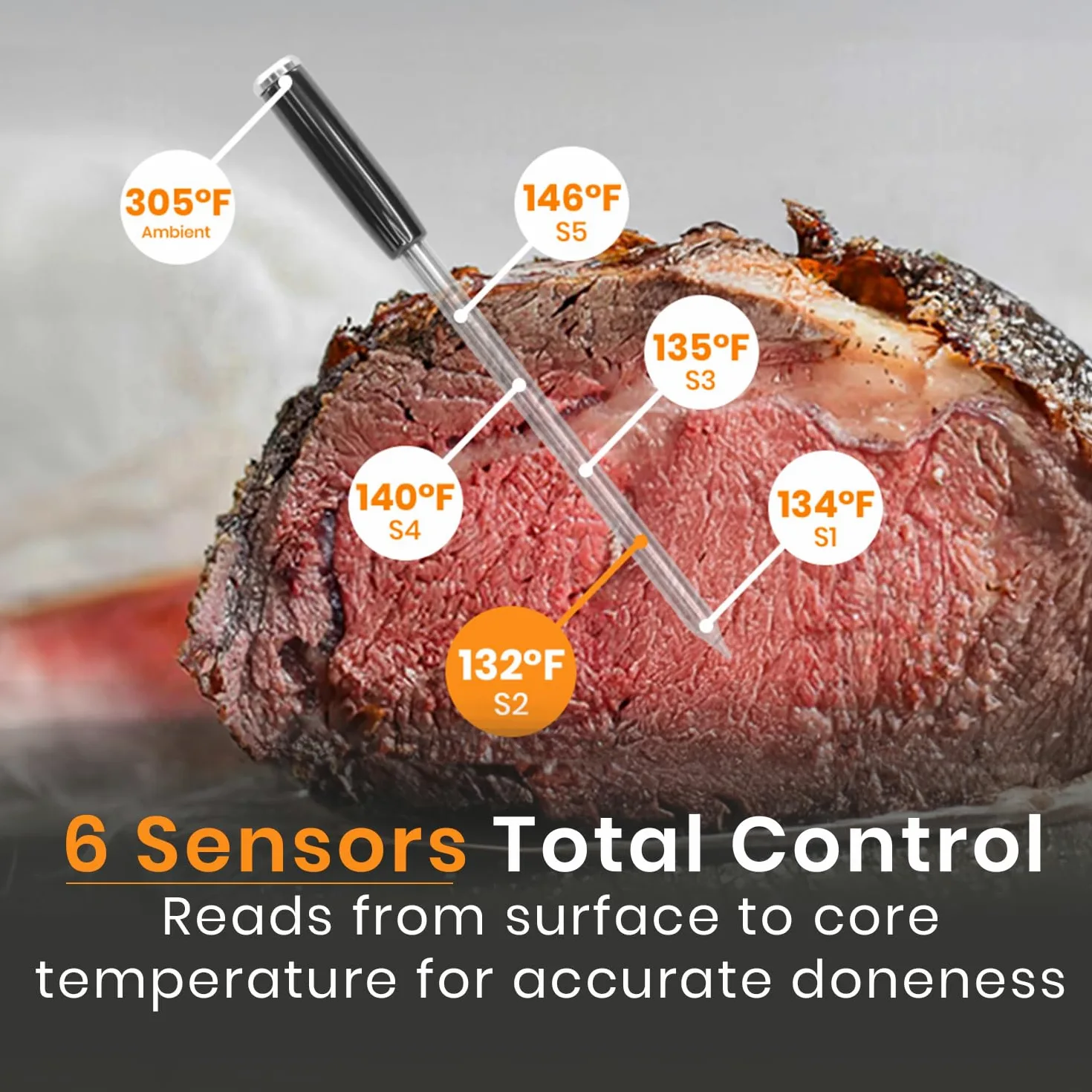 MeatStick V – Thermomètre à Viande Sans Fil, Jusqu’à 650 °C, 6 Capteurs de Température, WiFi à Portée Illimitée, Idéal pour Barbecue, Fumoir, Four et Friteuse à Air