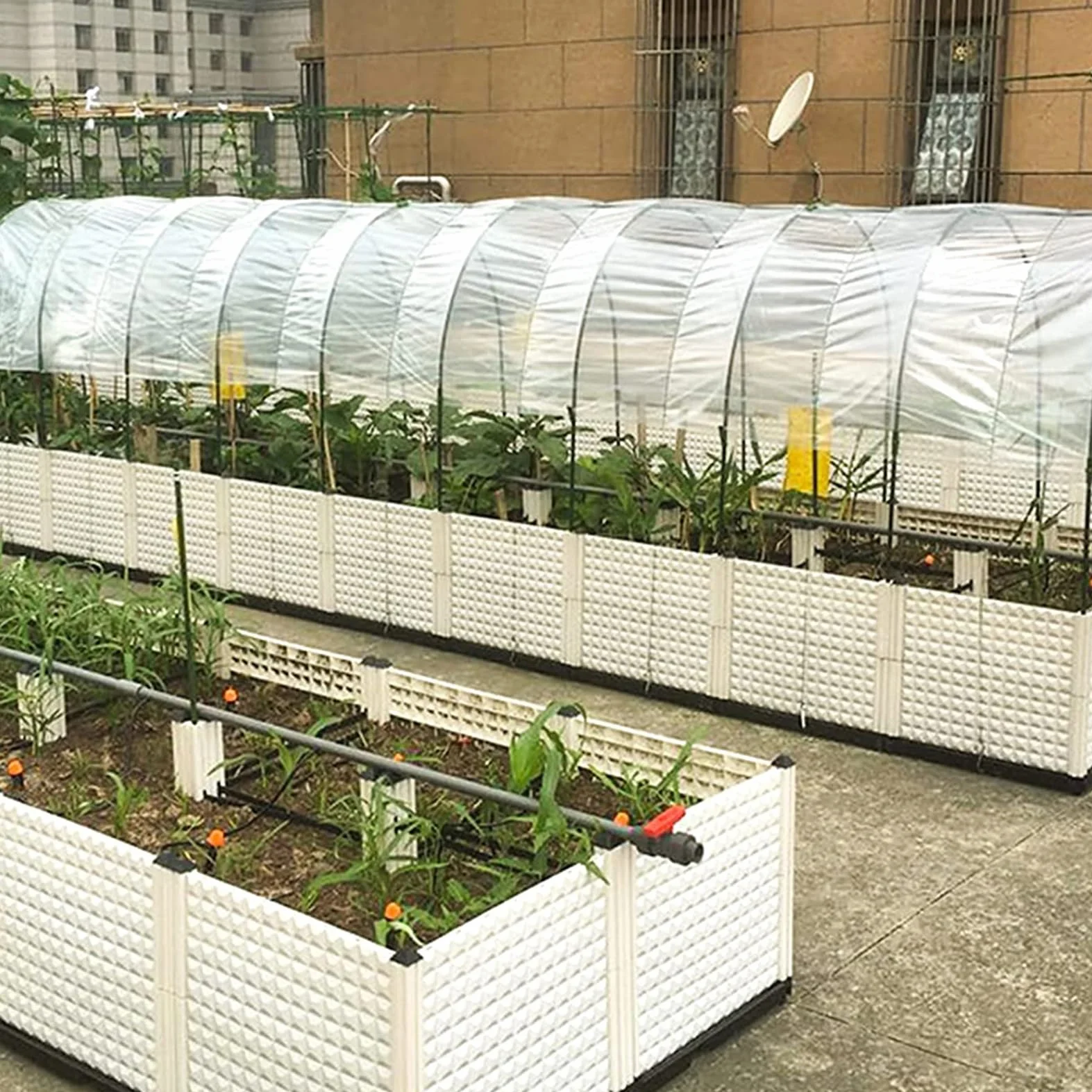 Bâche pour Serre 3M Polyéthylène Extra Épais Film Transparent Résistant Jardin Polytunnel Protection