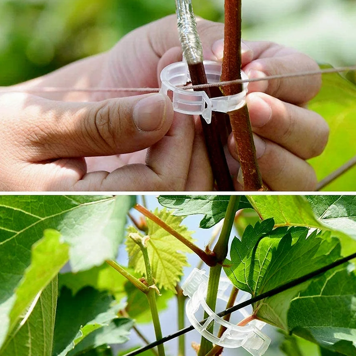 Greffage Outil Kit, Jardin Sécateur Ensemble Y Compris Lames De Rechange, Greffage Couteau, Greffage Bandes, Les Étiquettes des Plantes et Jardin Clips, Parfait pour Arbres Fruitiers Greffage