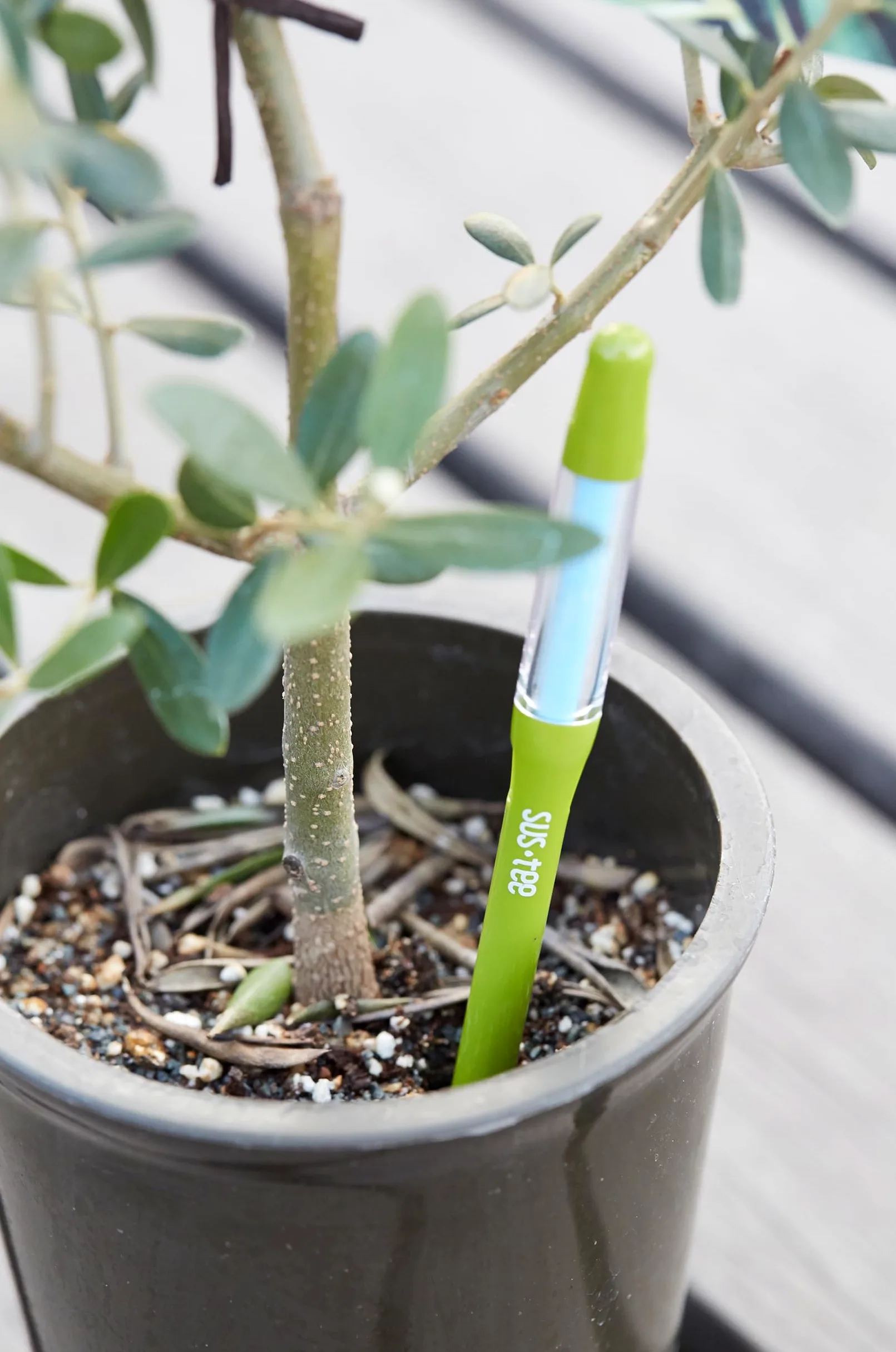 IPPINKA Aquamètre Sustee - Lot de 36 - Humidimètre pour plantes d'intérieur - Vert moyen - Rechargeable