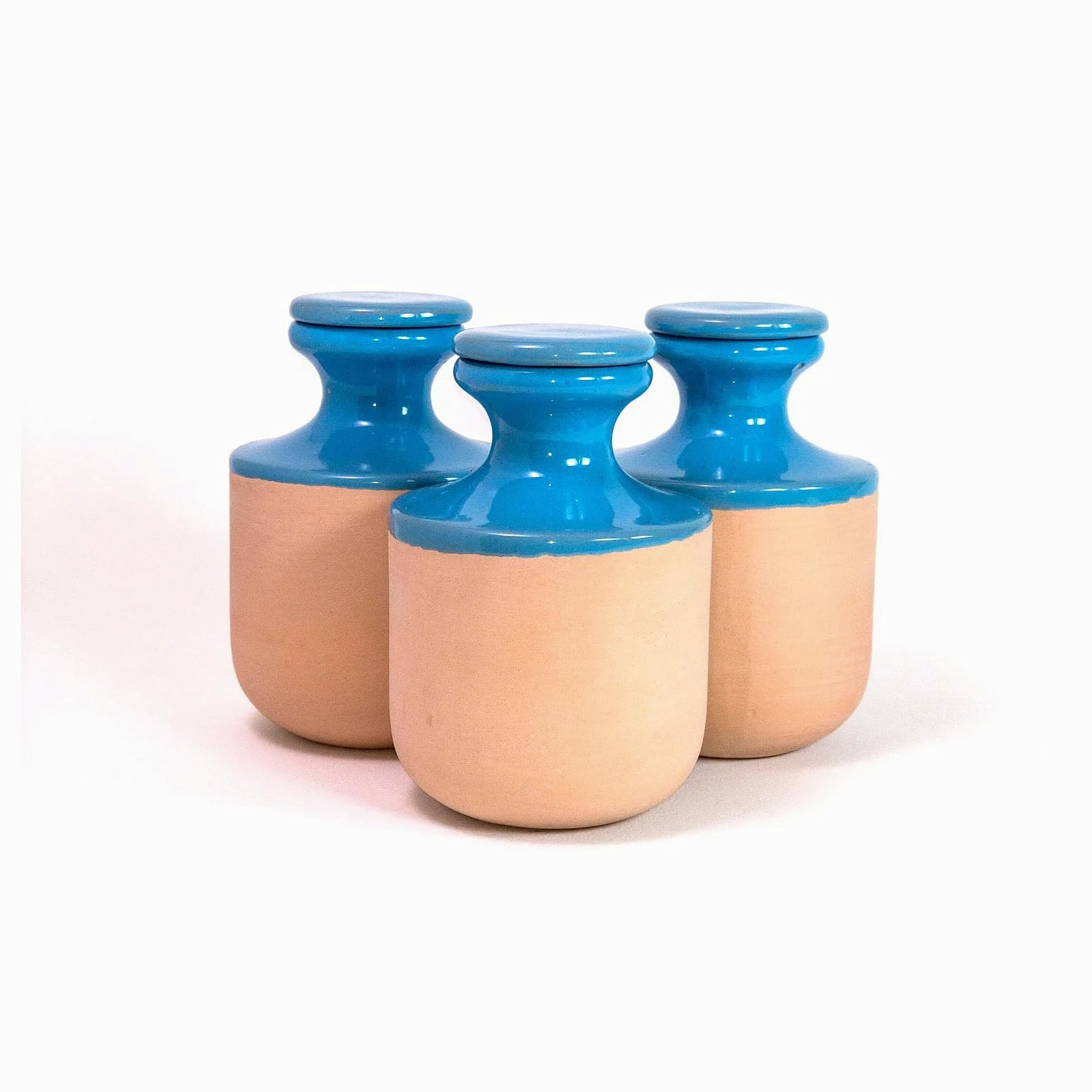 3 oyas à enterrer de 500 ml en couleur avec leur couvercle - ollas pour arroser tous type de plante d'intérieur et extérieur (Bleu)