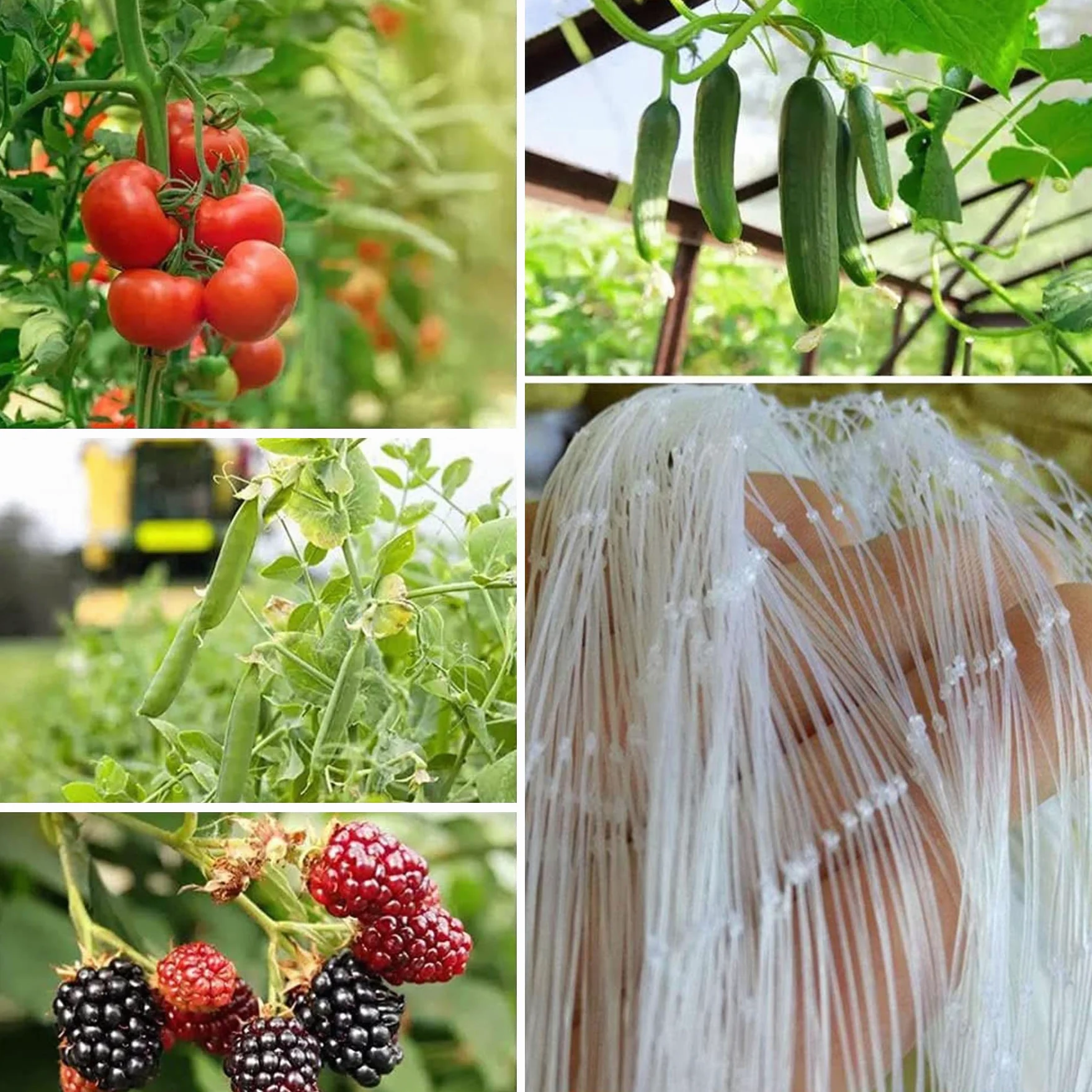 Filet Anti Oiseaux en Maille Filet de Protection Jardin(5m x 15m) | Filet Anti Pigeon Transparent, Filet Anti-Oiseaux pour Balcon, Bassin, Fruits, Légumes et Plantes, Oiseaux Contrôle