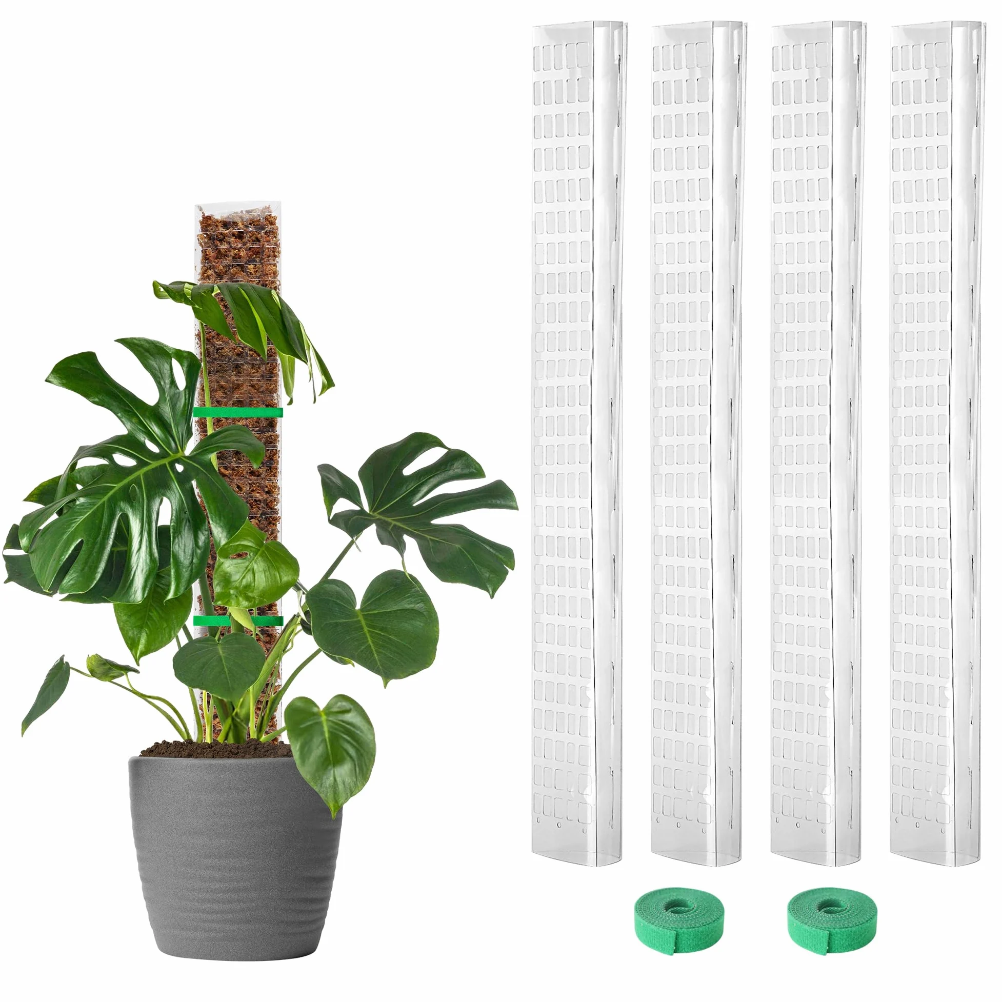 EOX Lot de 4 piquets en plastique de 61 cm pour Monstera, grands poteaux en forme de D pour plantes grimpantes, travail avec mousse de sphaigne, piquets de 228,6 cm, attaches de jardin