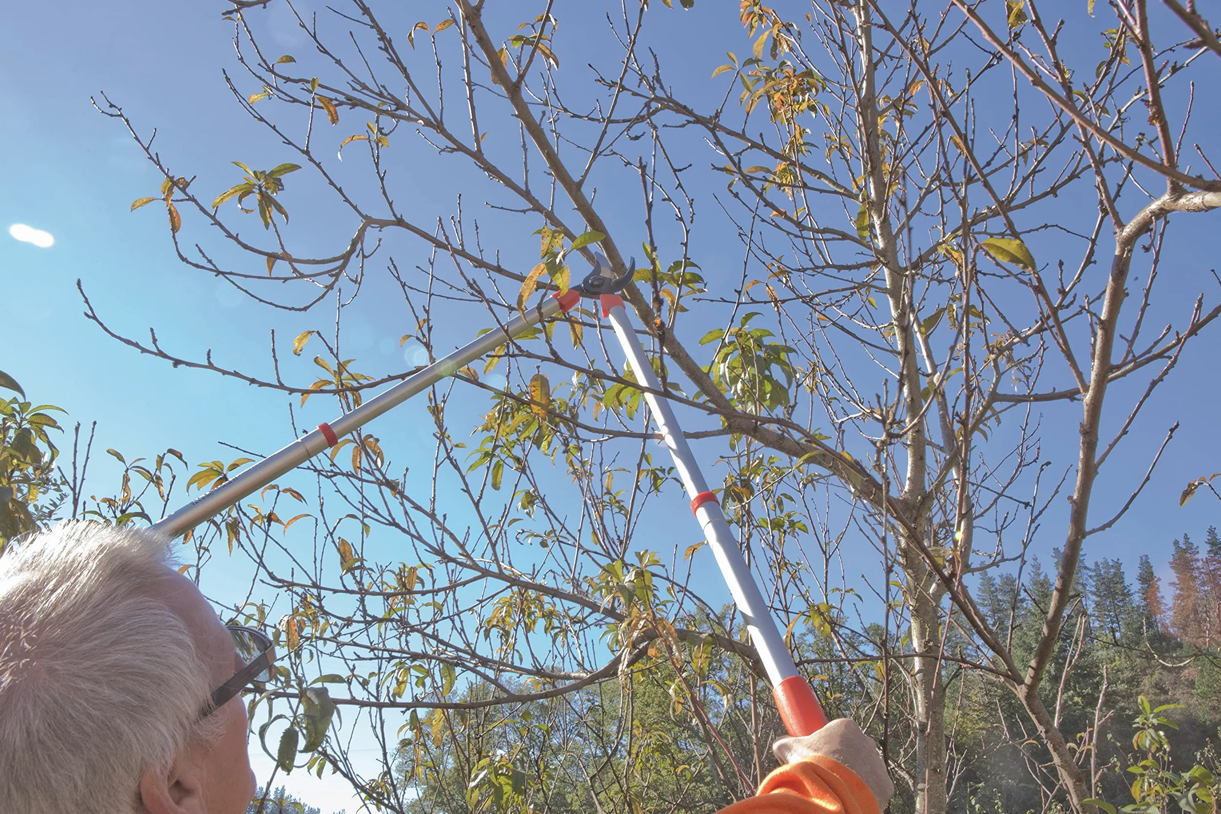 Sécateur coupe-branches télescopique 0390T - Réglage manuel - Coupe en dérivation très précise - Ultra léger - Sécateur de jardin en aluminium renforcé - Altuna