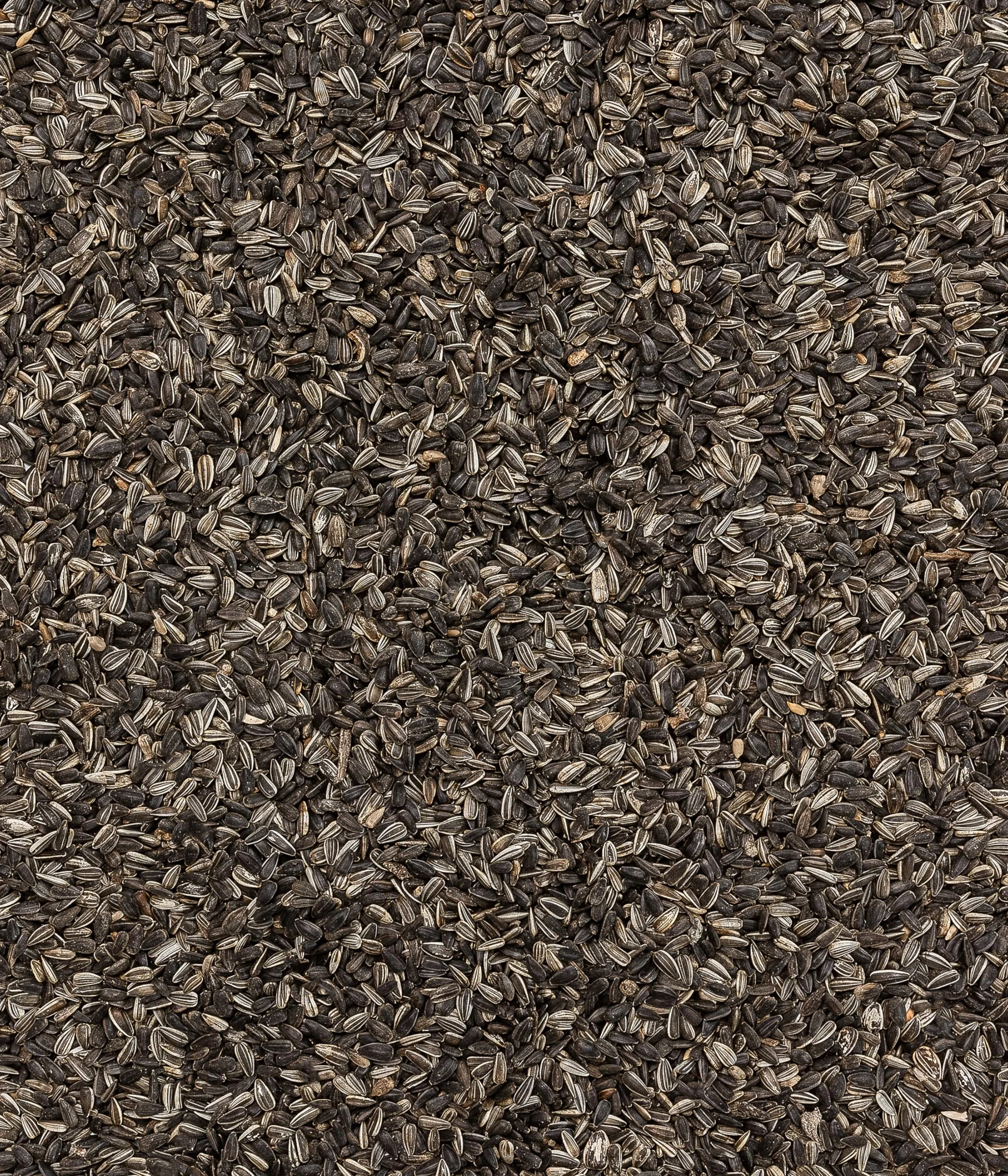 Dehner Natura Nourriture pour Oiseaux Sauvages Graines de Tournesol 2,5 kg