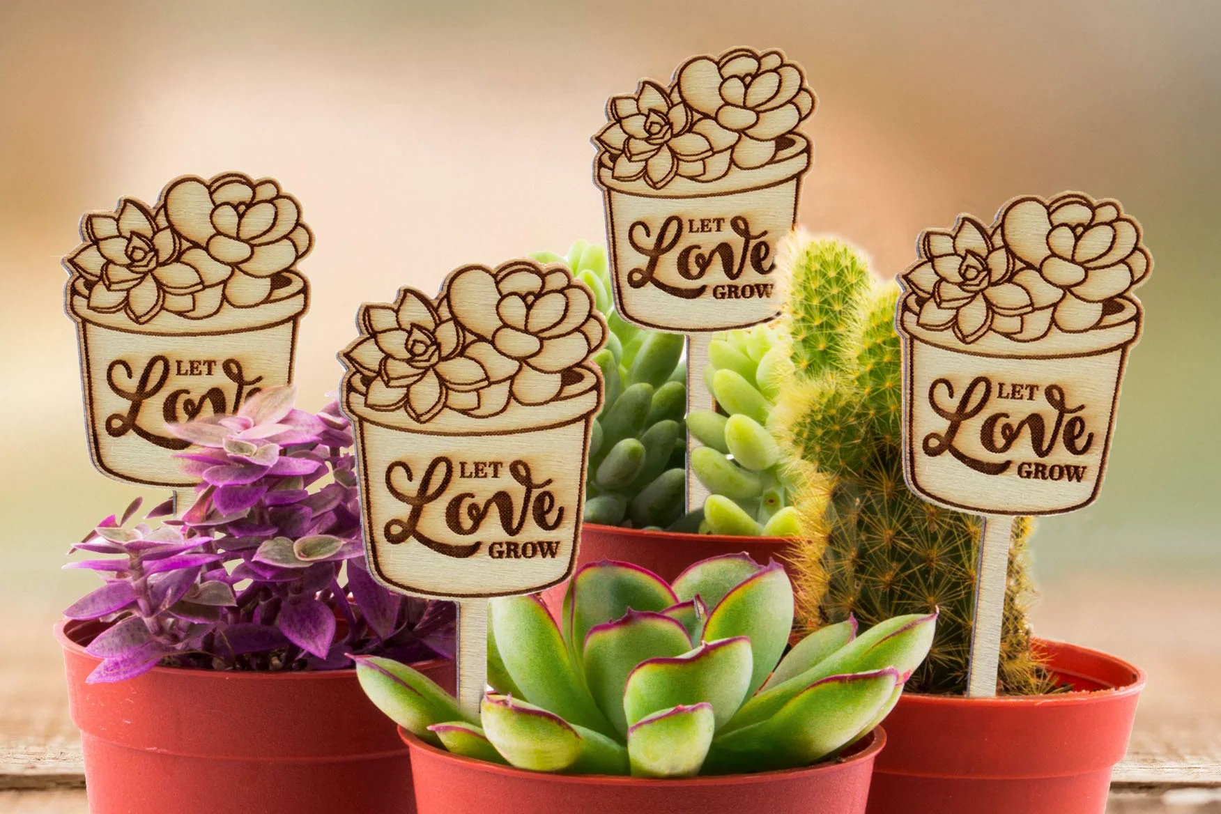 Lot de 50 marqueurs en bois pour plantes succulentes