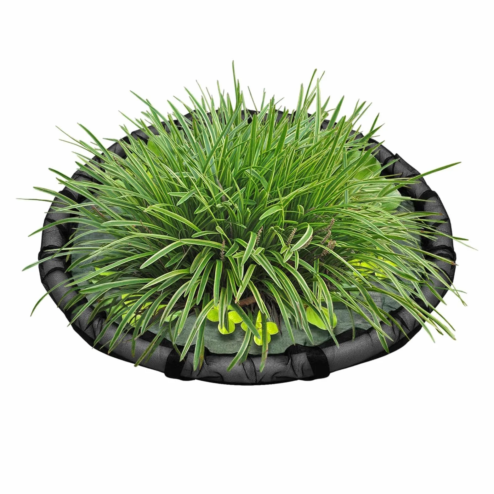 Panier Flottant pour Plante de Bassin 45 cm Barrière Flottante Maille pour Île Flottante