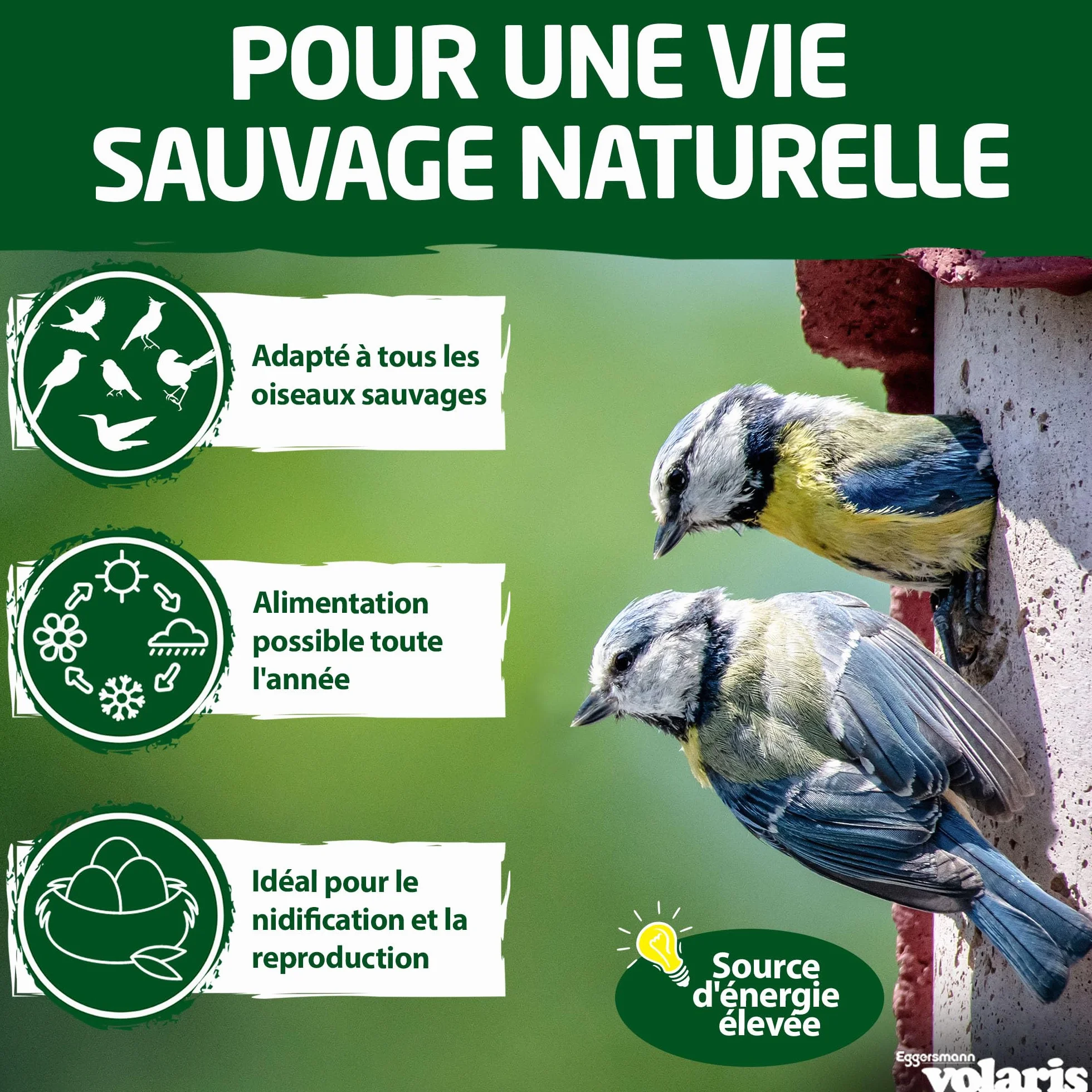 Eggersmann Volaris Boule de Graisse pour Oiseaux 100 Pcs 9 kg