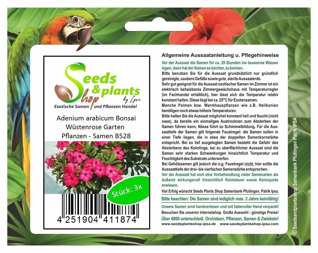 Adenium Arabicum Bonsaï Rose Du Désert Graines 3x