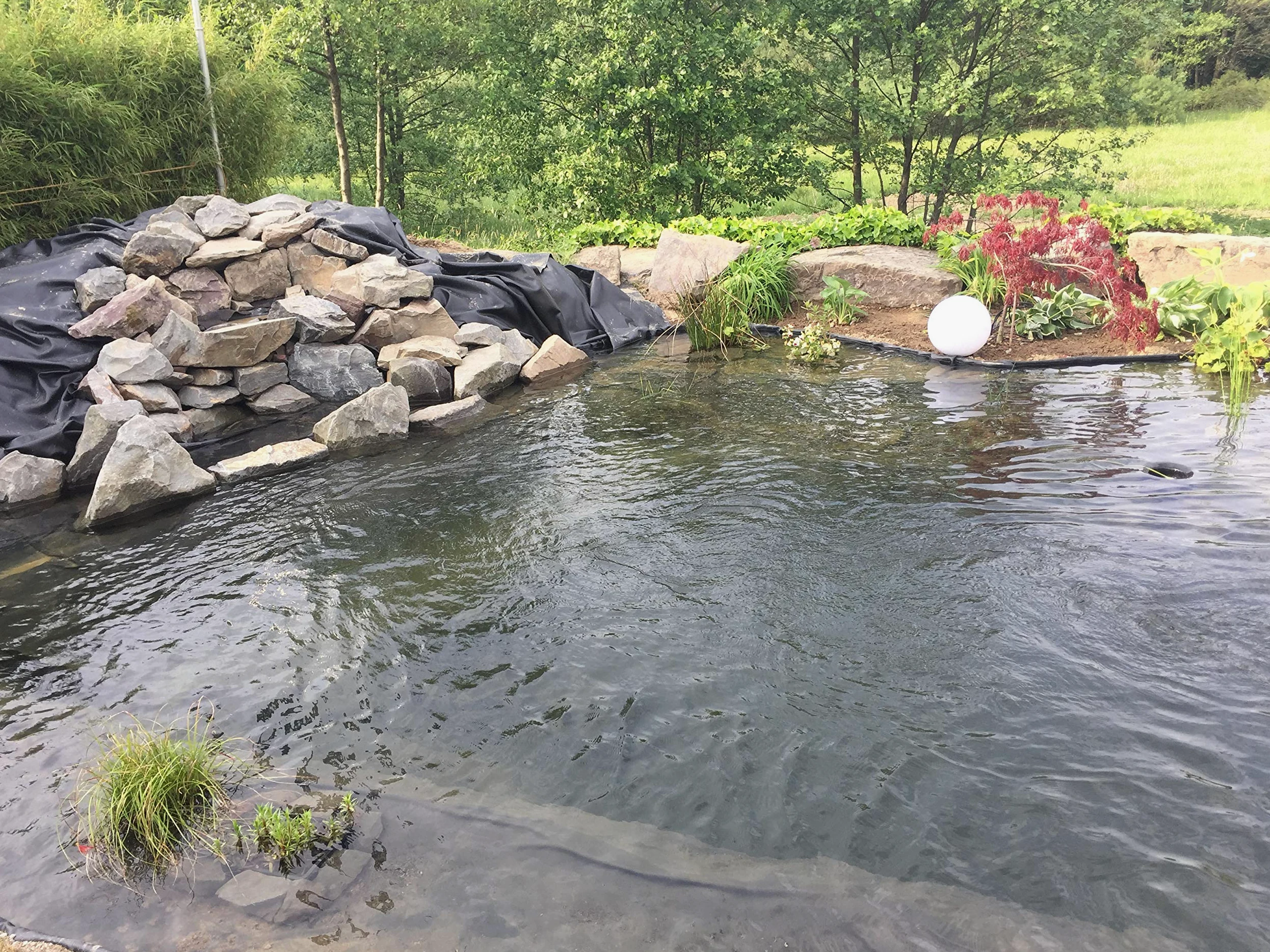 Aquagart Bâche de bassin en PVC de qualité supérieure 1,0 mm d'épaisseur 8 m x 6 m I Respectueux des poissons et des plantes Résistant aux UV