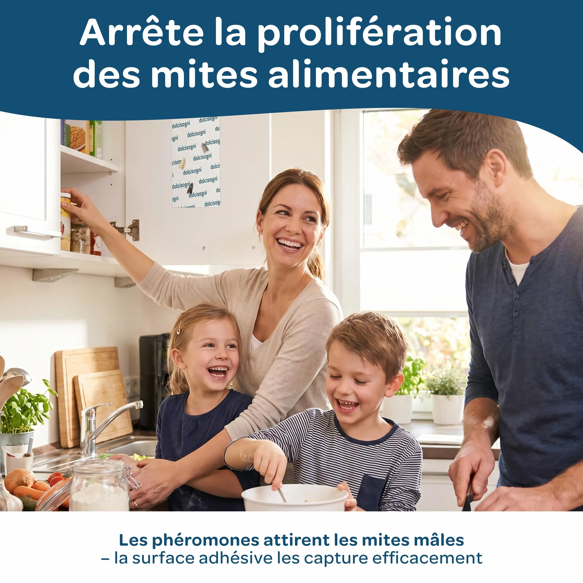 Anti-Mites Alimentaires 12 Feuilles Sans Biocides Adhésif pour Papillons de Garde-Manger Made in Germany