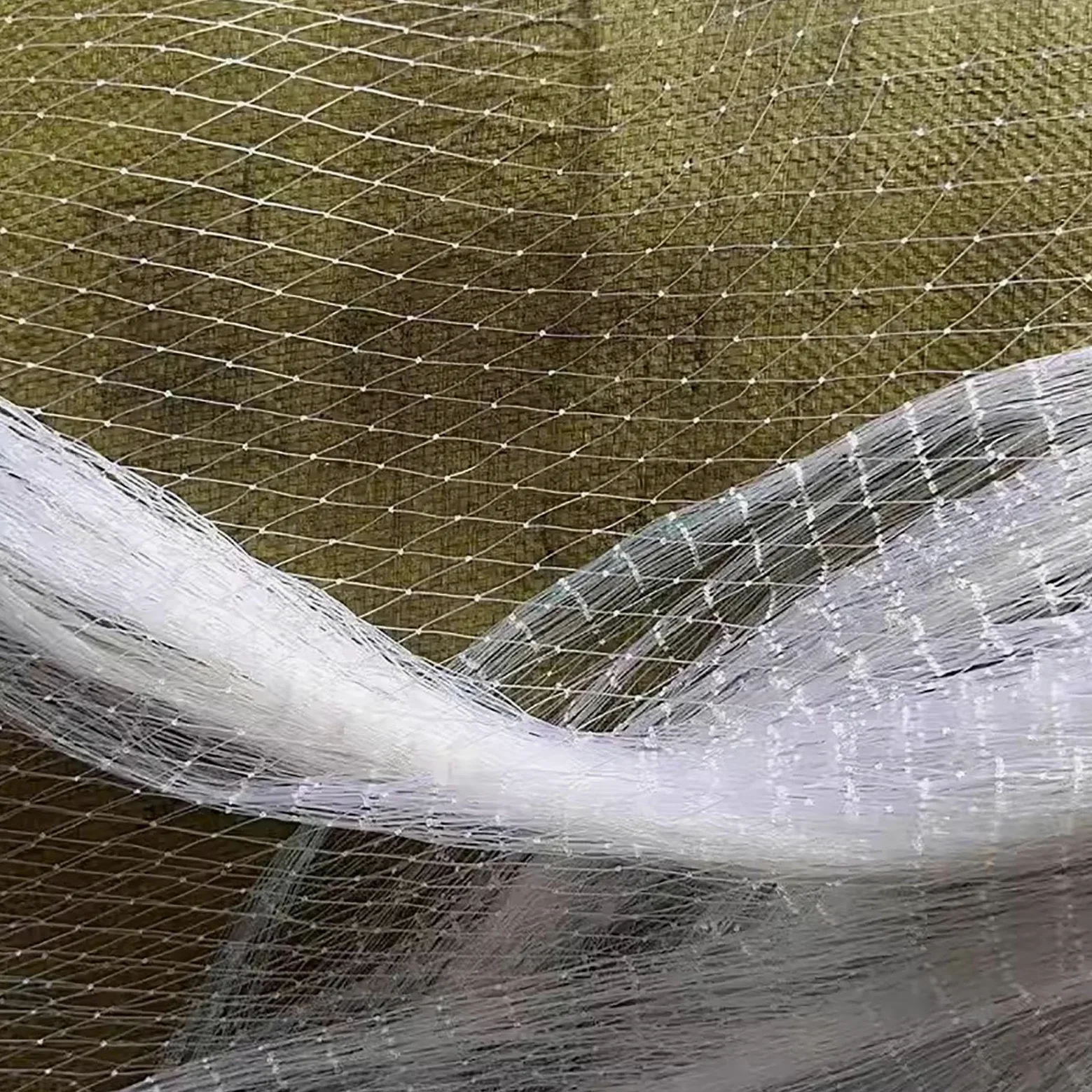 Filet Anti-Oiseaux en Nylon résistant aux UV pour Jardin et Arbres fruitiers - Réutilisable 10 m x 6 m, Maille de 2 cm de diamètre - Protection Efficace Contre Les Oiseaux et Les Insectes Nu