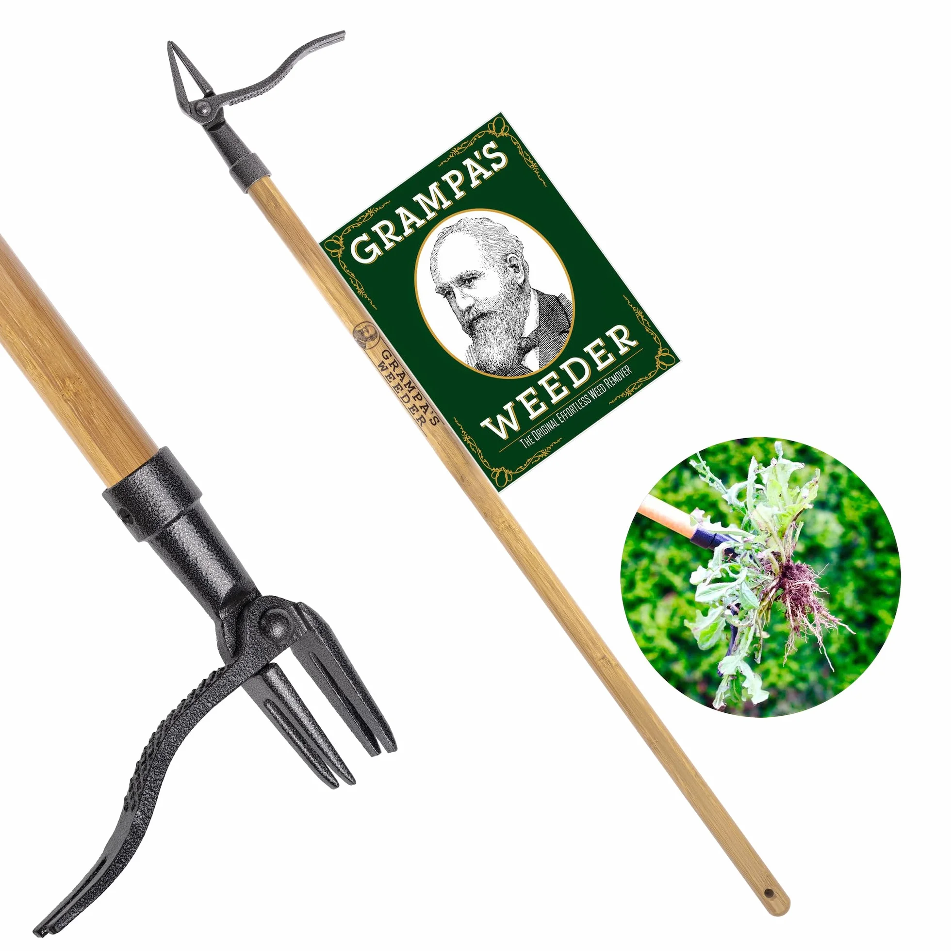 Sarcloir de grand-père, en solide bois de frêne et de résistant à la rouille -