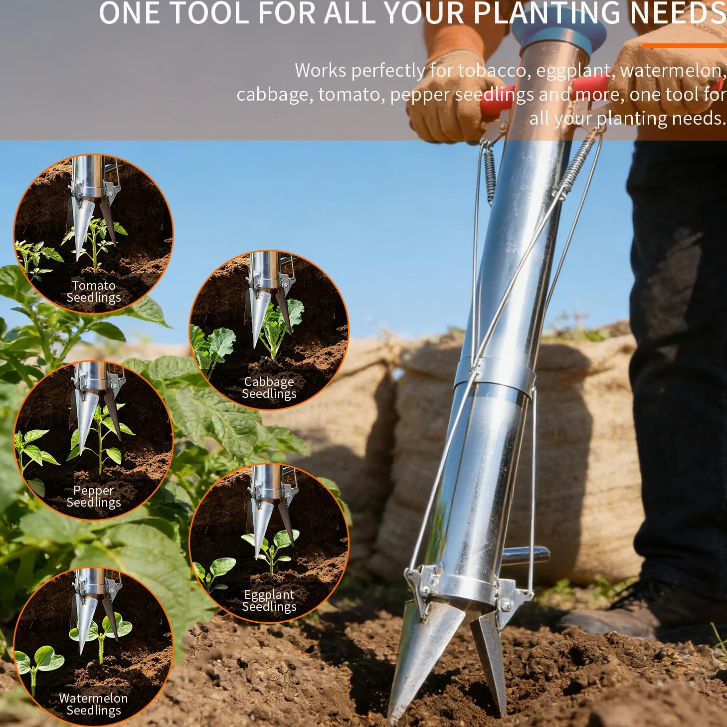 BAUSATZ Lot de 2 outils de transplantation de bulbes de jardin, outil de jardinière de bulbes de 86,4 cm de long, en acier inoxydable, pour transplanter des légumes, planteur de semis | Lot de 2 pièces