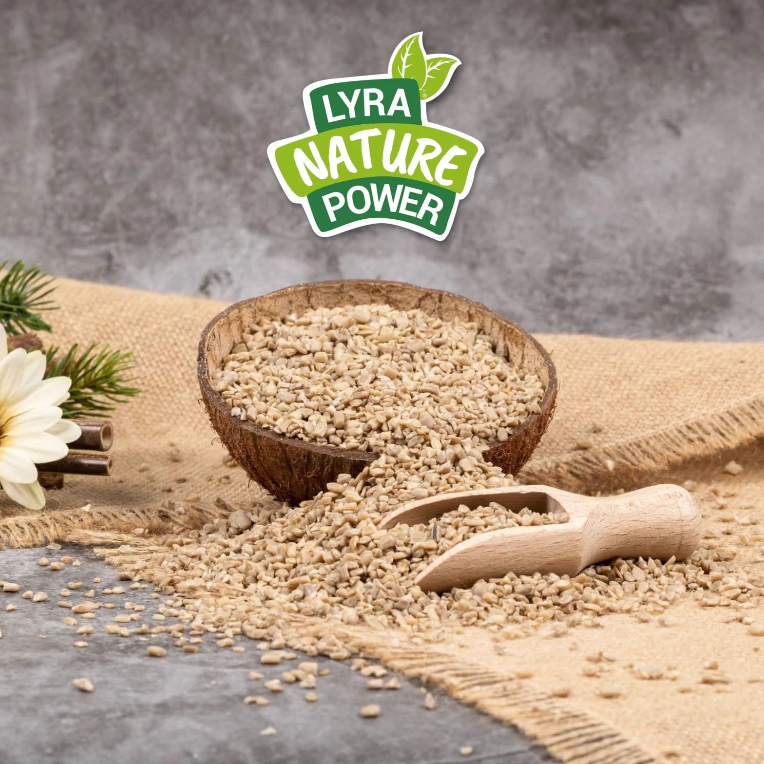Graines de Tournesol décortiquées brisures 20 kg Nourriture pour Oiseaux Sauvages Lyra Pet