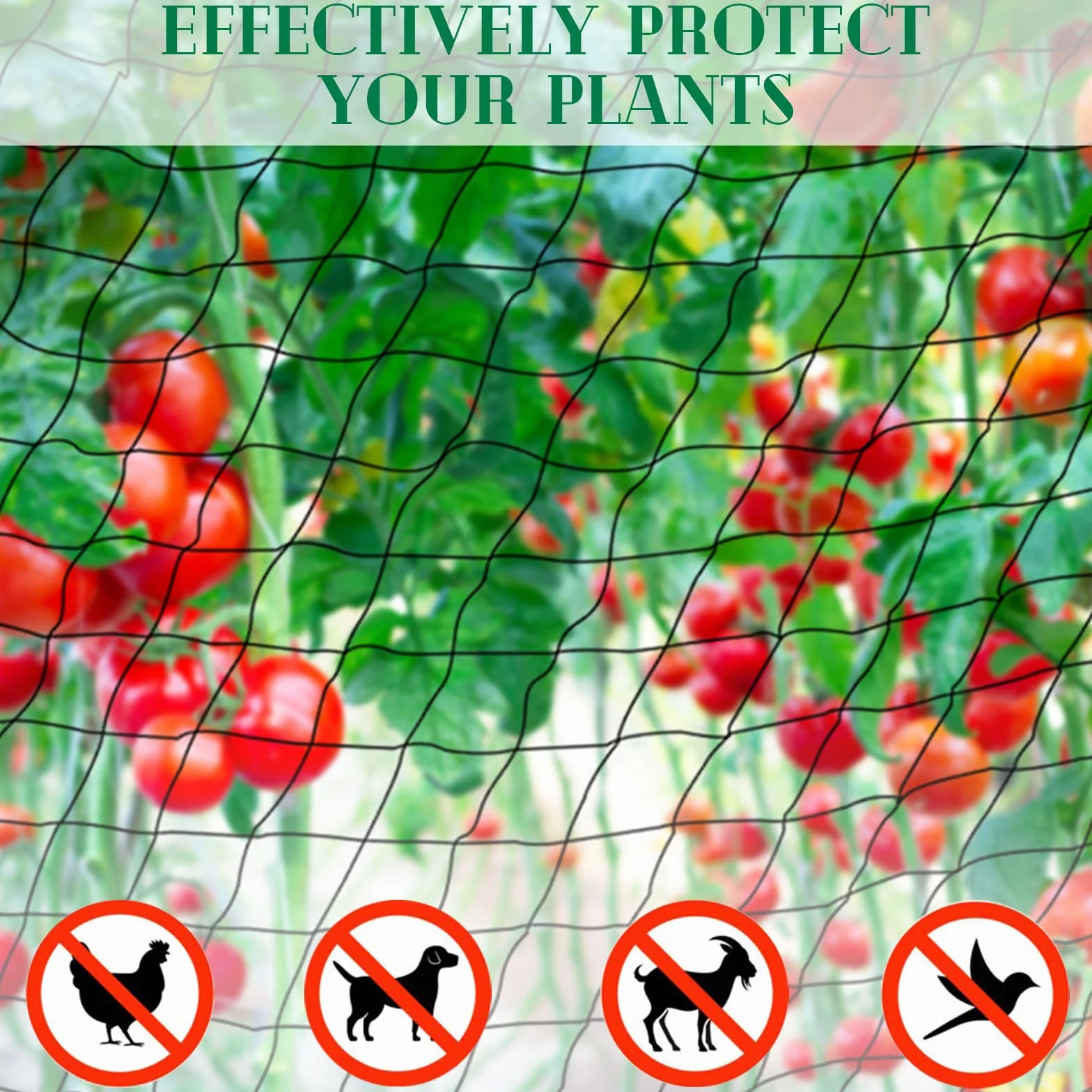 Filet Anti Oiseaux Pigeon 15m x 15m Mailles 2.5 cm Protection Jardin