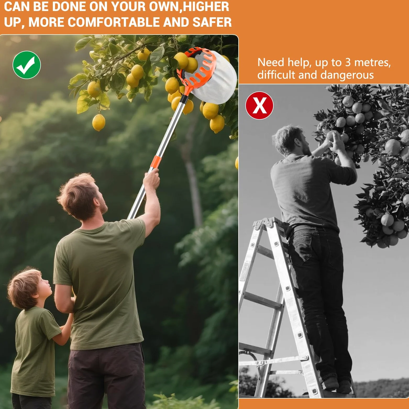 Cueilleuse à pommes de 4,2 m avec manche télescopique et sac de collecte de fruits, diamètre 16 cm, cueilleuse à prunes, cueilleuse à pommes pour atteindre les endroits inaccessibles dans les