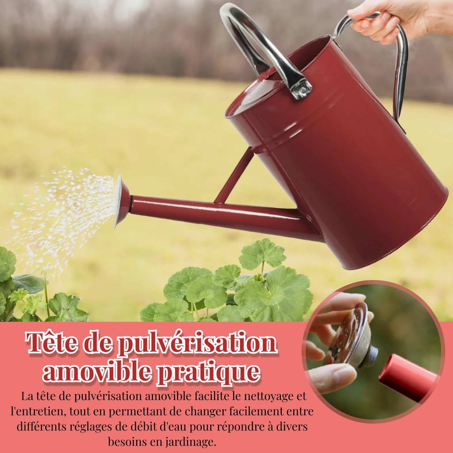 Arrosoir Jardin 5L, Arosoires Extérieur, Arrosoir en Métal pour Plantes Interieur avec Bec Amovible, Arrosoir à Fleurs avec Poignée Incurvée, Anti-Fuite, Construction Robuste et Antirouille, Rouge