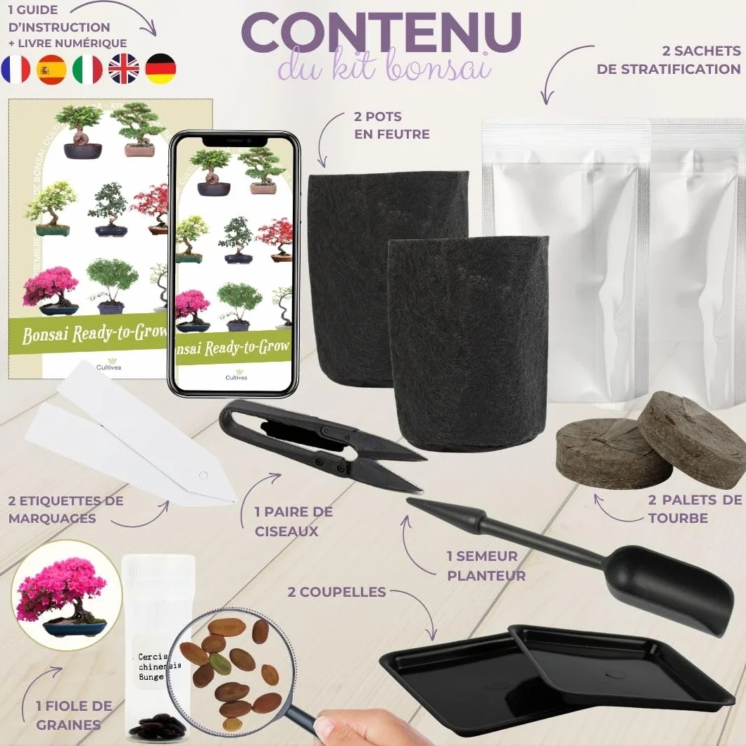 CULTIVEA® Kit First Bonsai – Kit de première culture de Bonsaï avec Graines & Accessoires, Made In France