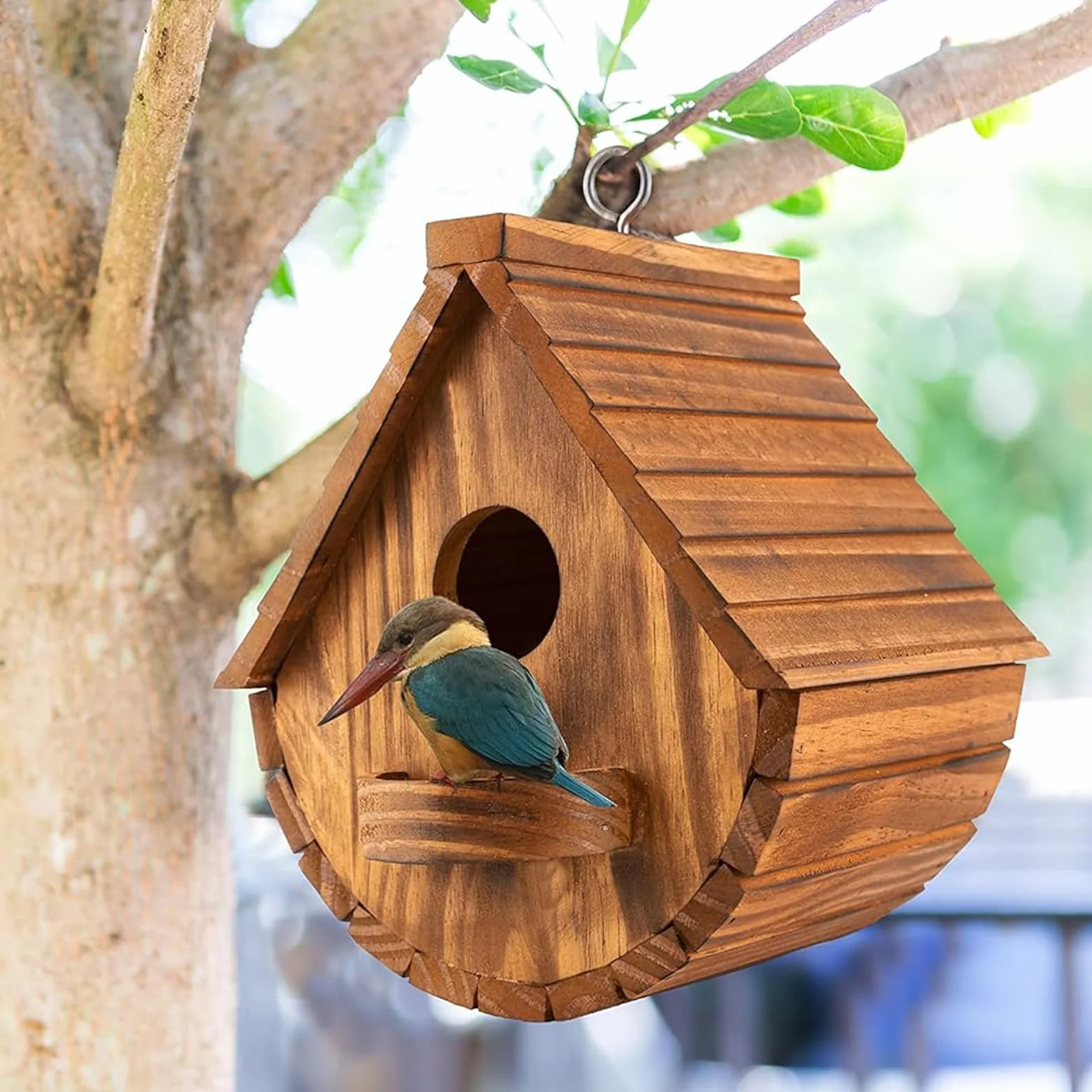 Nichoir pour Oiseaux Exterieur en Bois - Mangeoire Oiseaux Sauvages, résistant aux intempéries