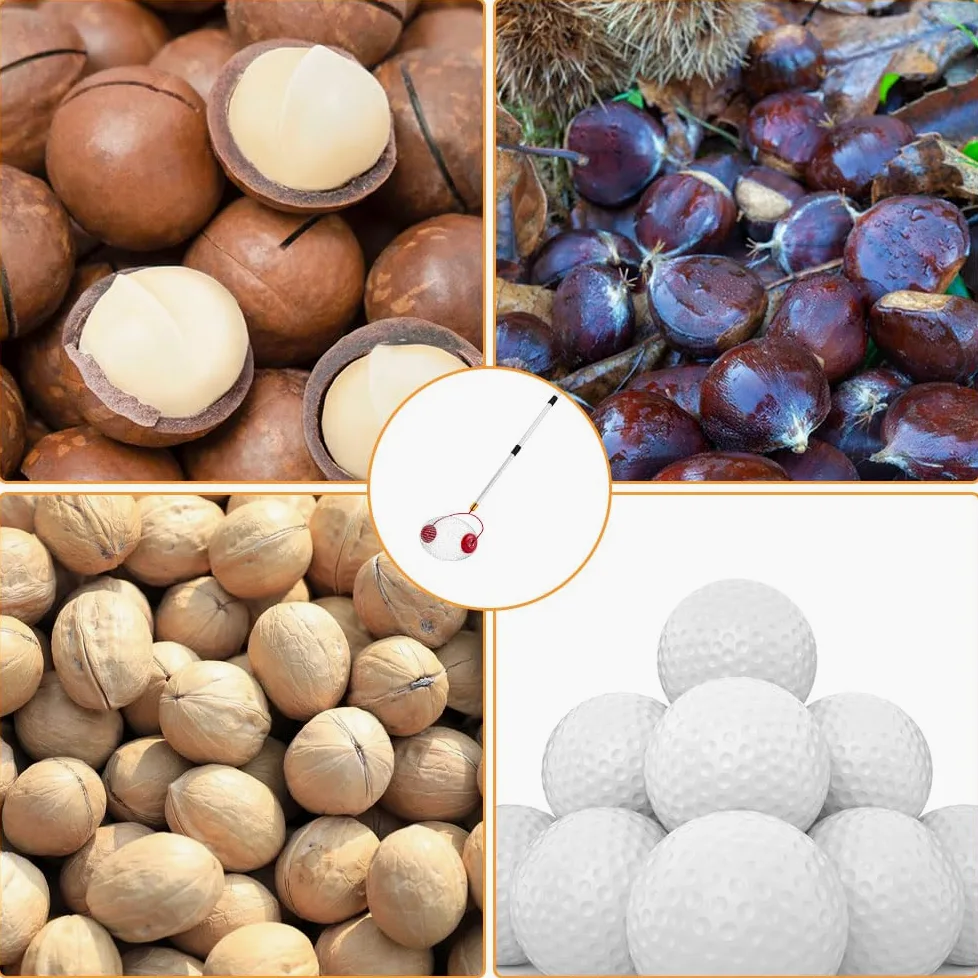 Collecteur de Noix, Ramasse Fruit avec Tige Télescopique Réglable, Rouleau Ramasse Noix avec Sac de Rangement, Collecteur de Rouleaux pour Balles, Noix de Pécan, Les Pruneaux, Golf, Etc.