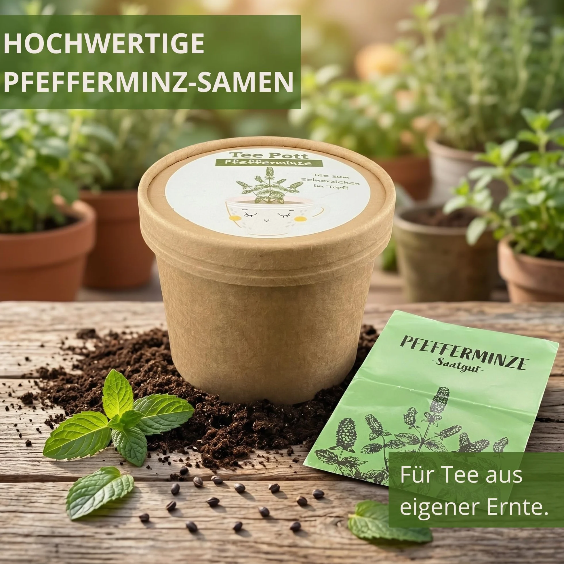 Kit de culture de menthe poivrée avec graines et terre pour rebord de fenêtre