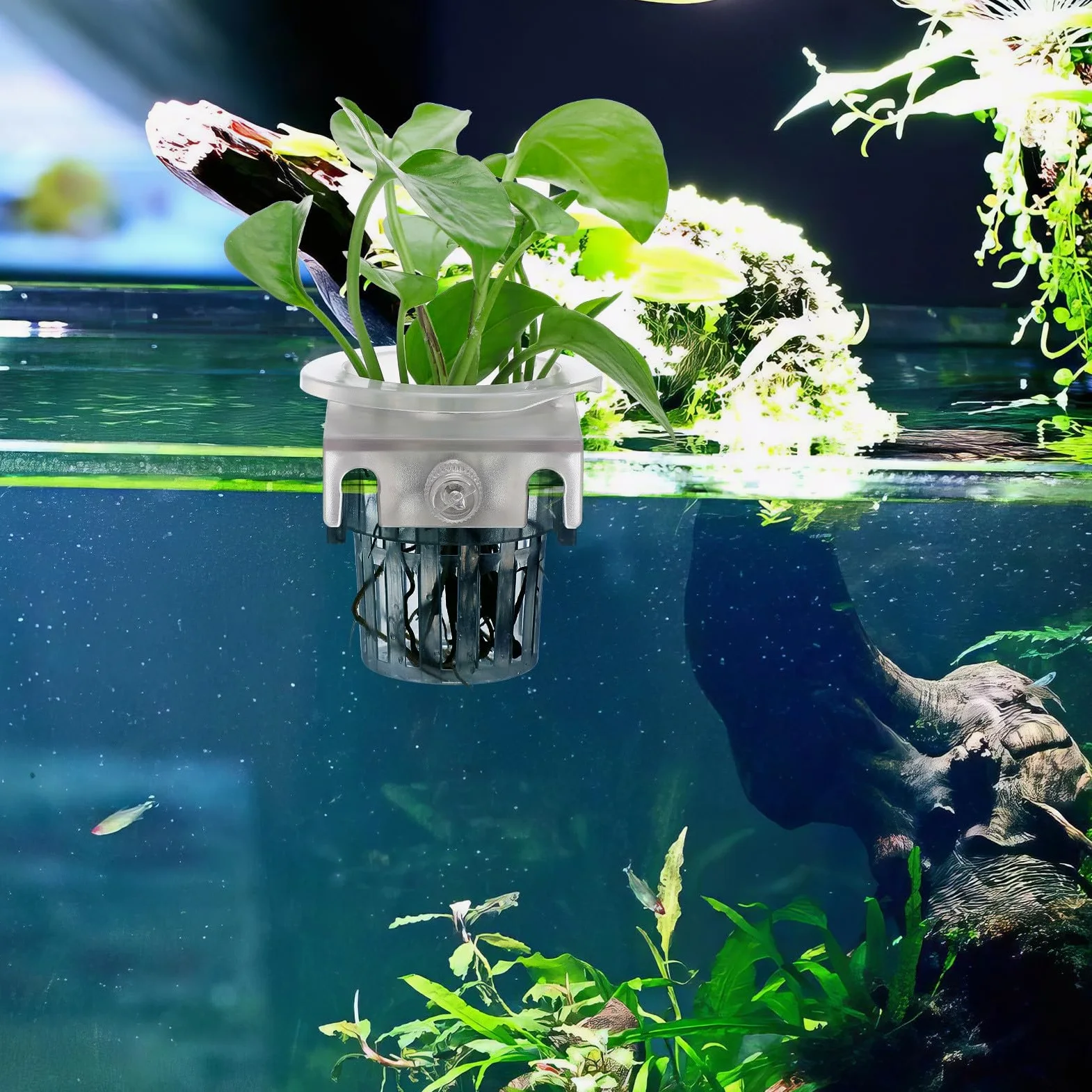 SUPVOX Lot de 4 supports de plantes à suspendre pour aquarium avec ventouses – Paniers de plantes pour aquarium et décoration d'aquarium