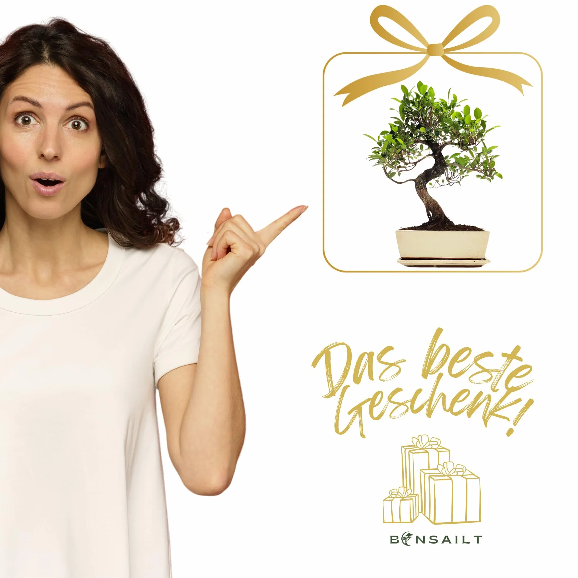 Bonsaï Ficus en pot céramique 45-50 cm plante intérieur cadeau