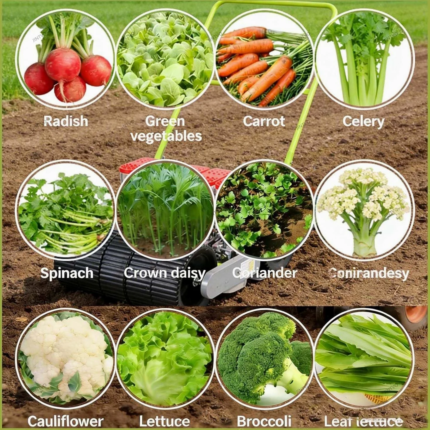 Semoir Jardin Précis, Nouvelle Semeuse Manuelle Portable À Pousser, 1 À 6 Rangs pour Persil, Chou, Radis Et Plus - Semoir Et Épandeur Jardin Performant(6 Rows)