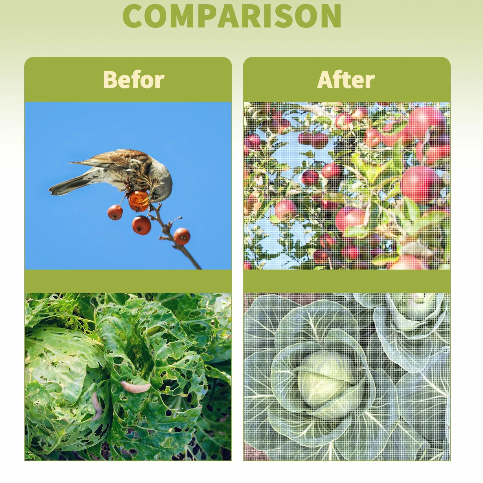 Filet à légumes de Jardin 3 x 6 m - Filet de Protection Contre Les Insectes pour Plantes et Légumes