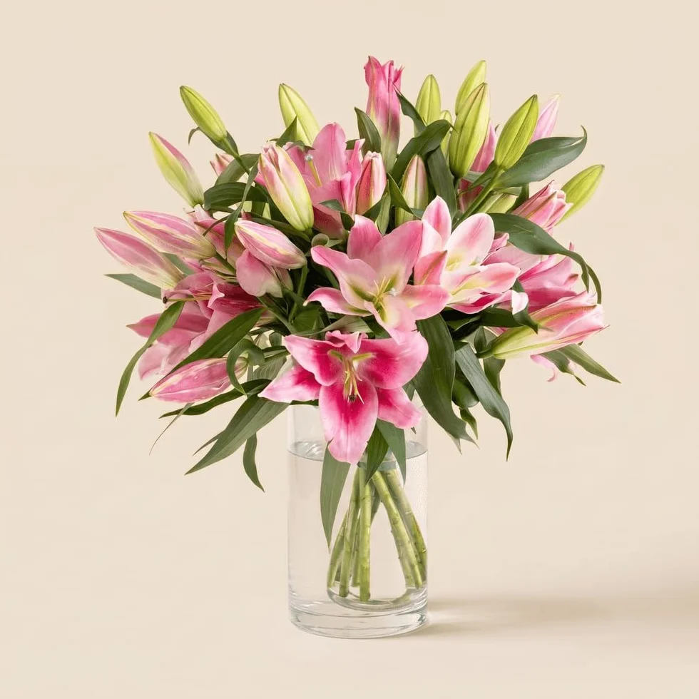 Bouquet de Lys Roses Fraîches, env. 5 Tiges