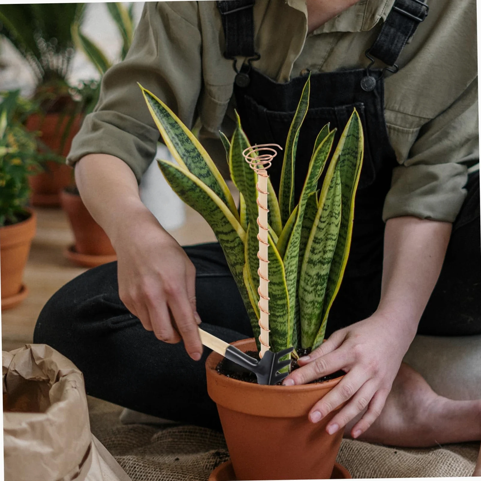 HEMOTON Kit Outils de Jardinage avec Piquets en Fil de Cuivre et Truelles en Bois pour Plantes et Légumes, Favorise la Croissance des Racines en Intérieur et Petits Jardins