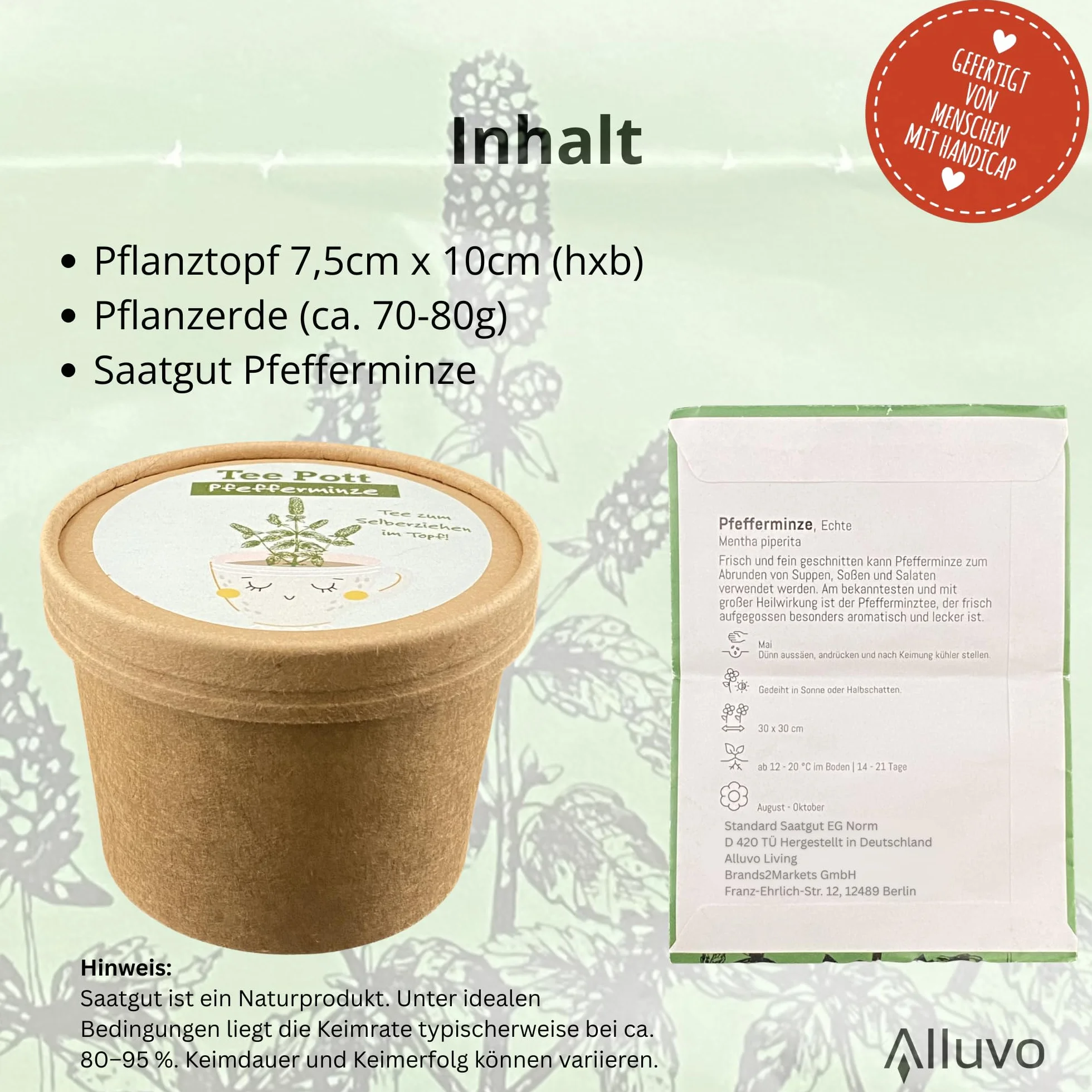 Kit de culture de menthe poivrée avec graines et terre pour rebord de fenêtre