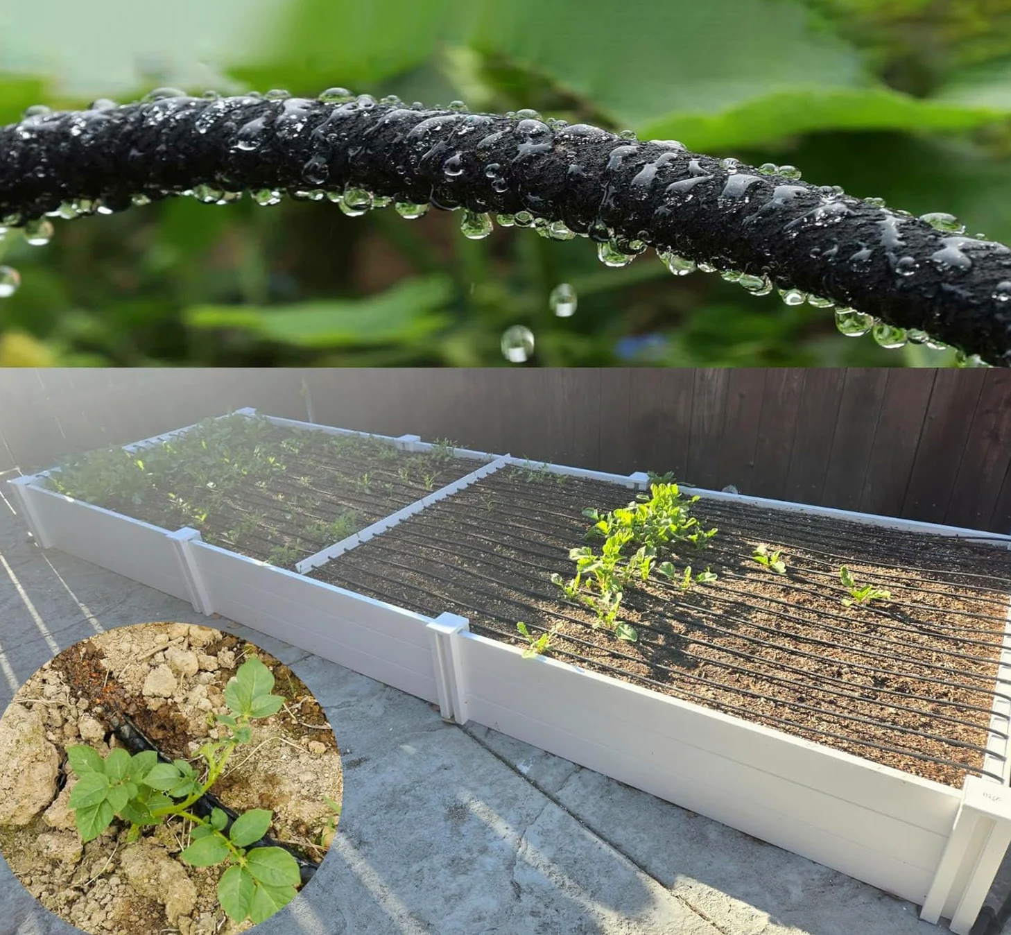 1/4 pouce Tuyau économiseur d'eau multi-trous, tuyau d'irrigation goutte à goutte flexible microporeux, tuyau en caoutchouc pour l'arrosage des jardins, des pelouses et des patios (50M)