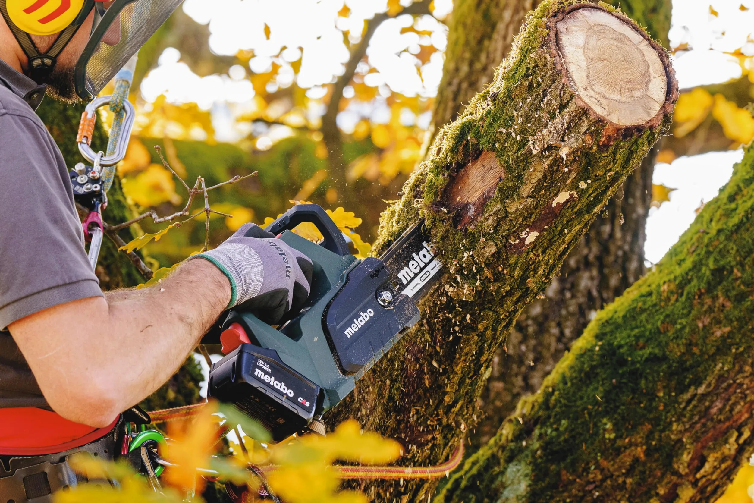 metabo Tronçonneuse sans fil MS 18 LTX BL 25-18 V, CAS, 25 cm, Oregon SpeedCut Nano - Brushless, interrupteur de sécurité, arrêt rapide de chaîne, tronçonneuse légère et compacte pour l'entretien des