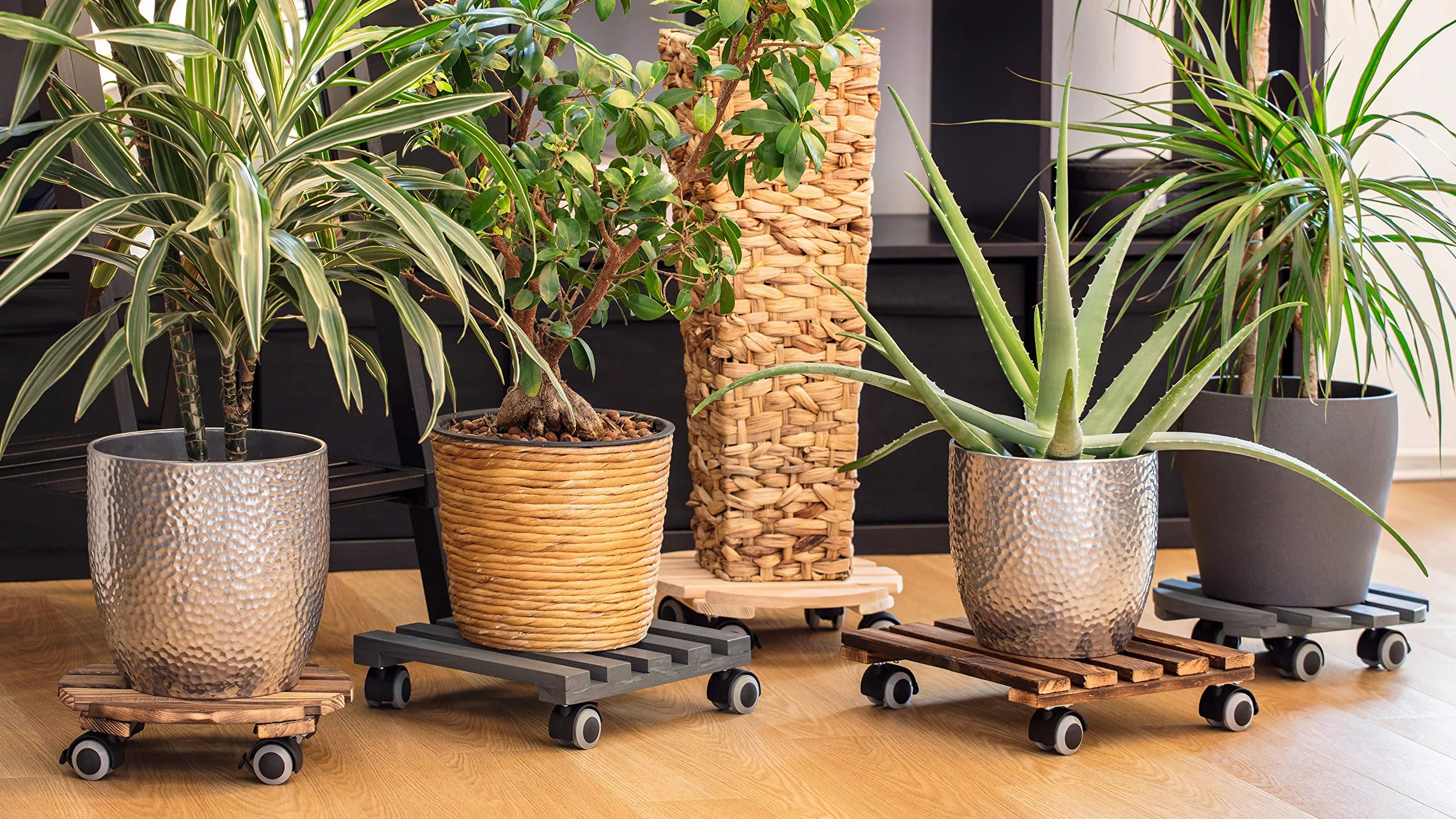 Metafranc Chariot pour Plantes Ø 300 mm 60 kg Plaque en pin Naturel Roues TPE 4 blocages