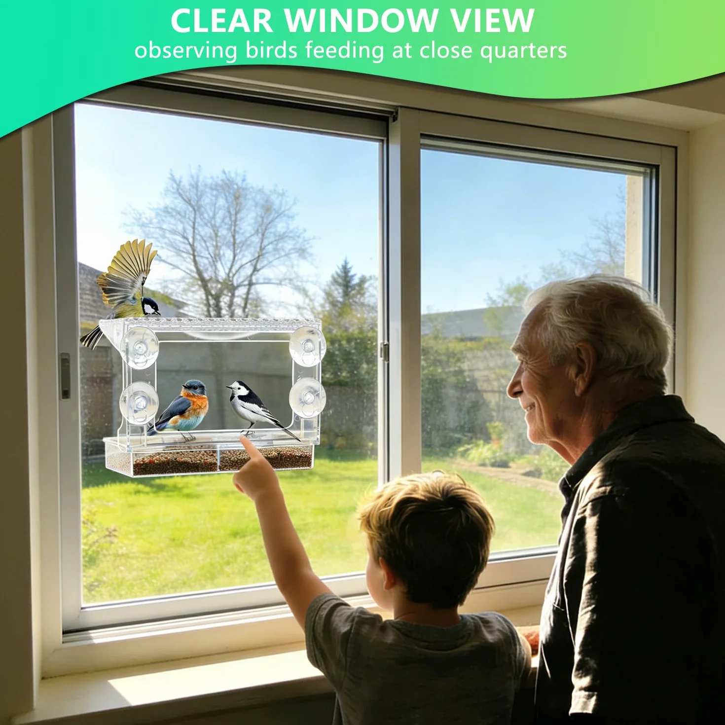 Mangeoire fenêtre Transparente Vue Claire pour Petits Oiseaux Sauvages, Ventouses puissantes