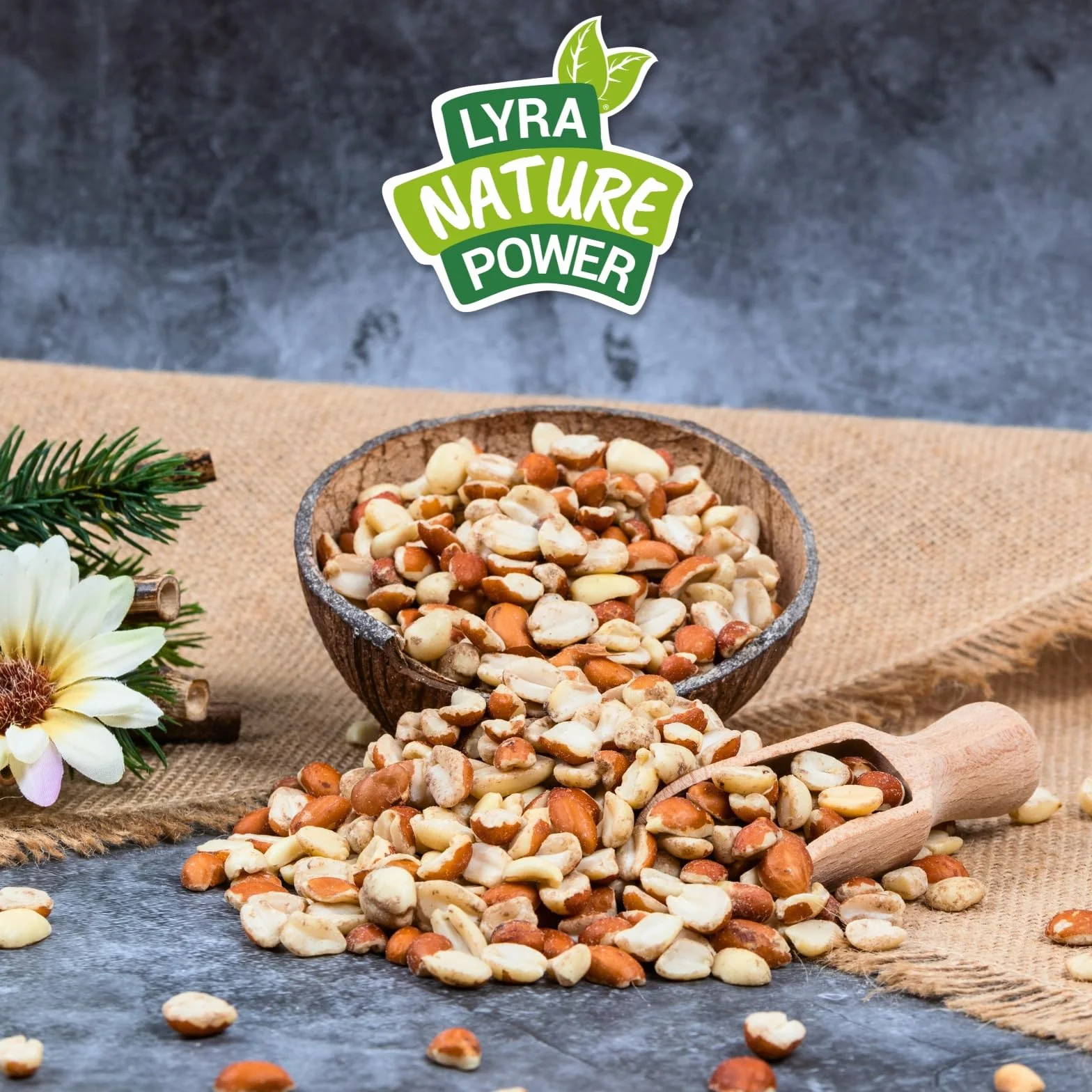 Graines de cacahuètes Splits mélangées blanchies & avec Peau 25 kg Nourriture pour Oiseaux Sauvages