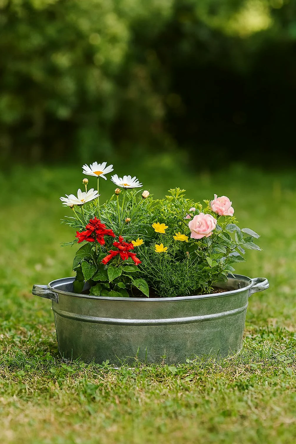 Bac galvanisé - Bol à planter - Décoration de jardin d'extérieur - Mini bassin d'eau - Décoration de balcon - 35 litres