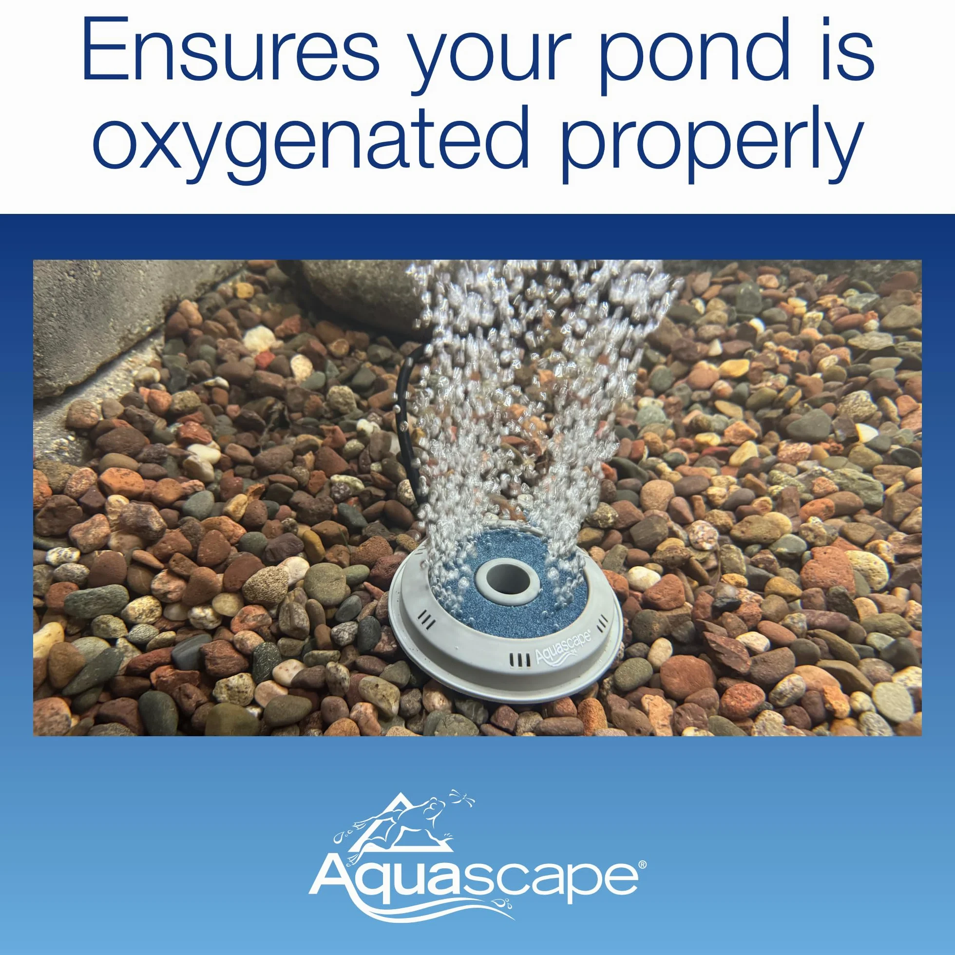 Aquascape 75000 air du Bassin 2 (kit d'aération à Double Sortie)