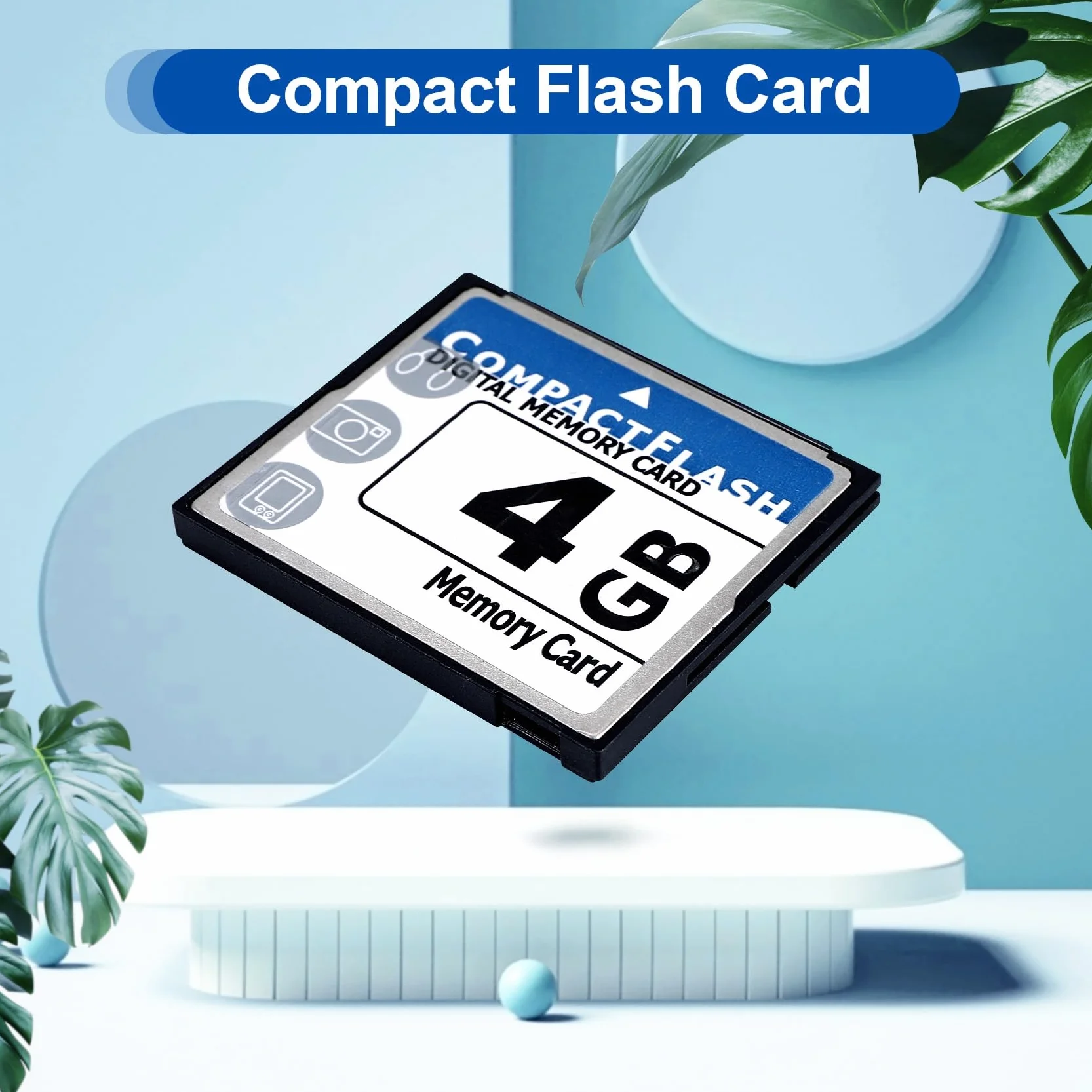 Carte mémoire flash 4 Go Bleu blanc