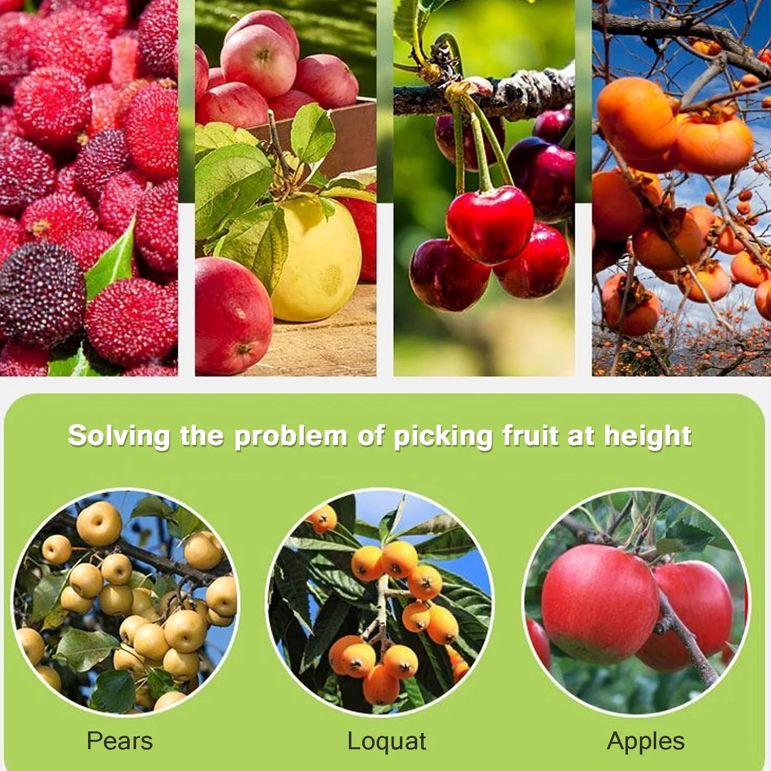 A,8.2 ft, Cueilleur De Fruits,Cueille Pomme Telescopique avec Poteau Réglable Léger Et Sac De Rangement De Fruits Aide Pratique À La Récolte pour Poire,Cueillir Prunes