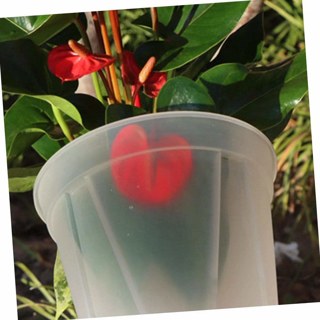 TOYANDONA Pots de Rempotage Transparents pour Orchidées Lot de 2 Plastique Robuste Diamètre 27 Cm