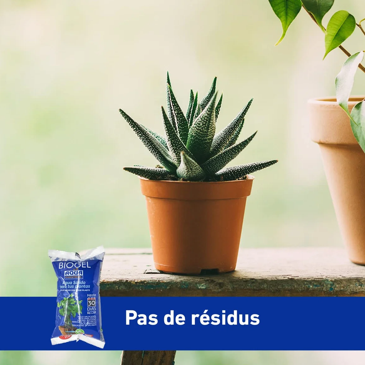 AQUA CONTROL Biogel C2140 Eau Solide pour Plantes, Arrosage Vacances 30 Jours, 400 ML