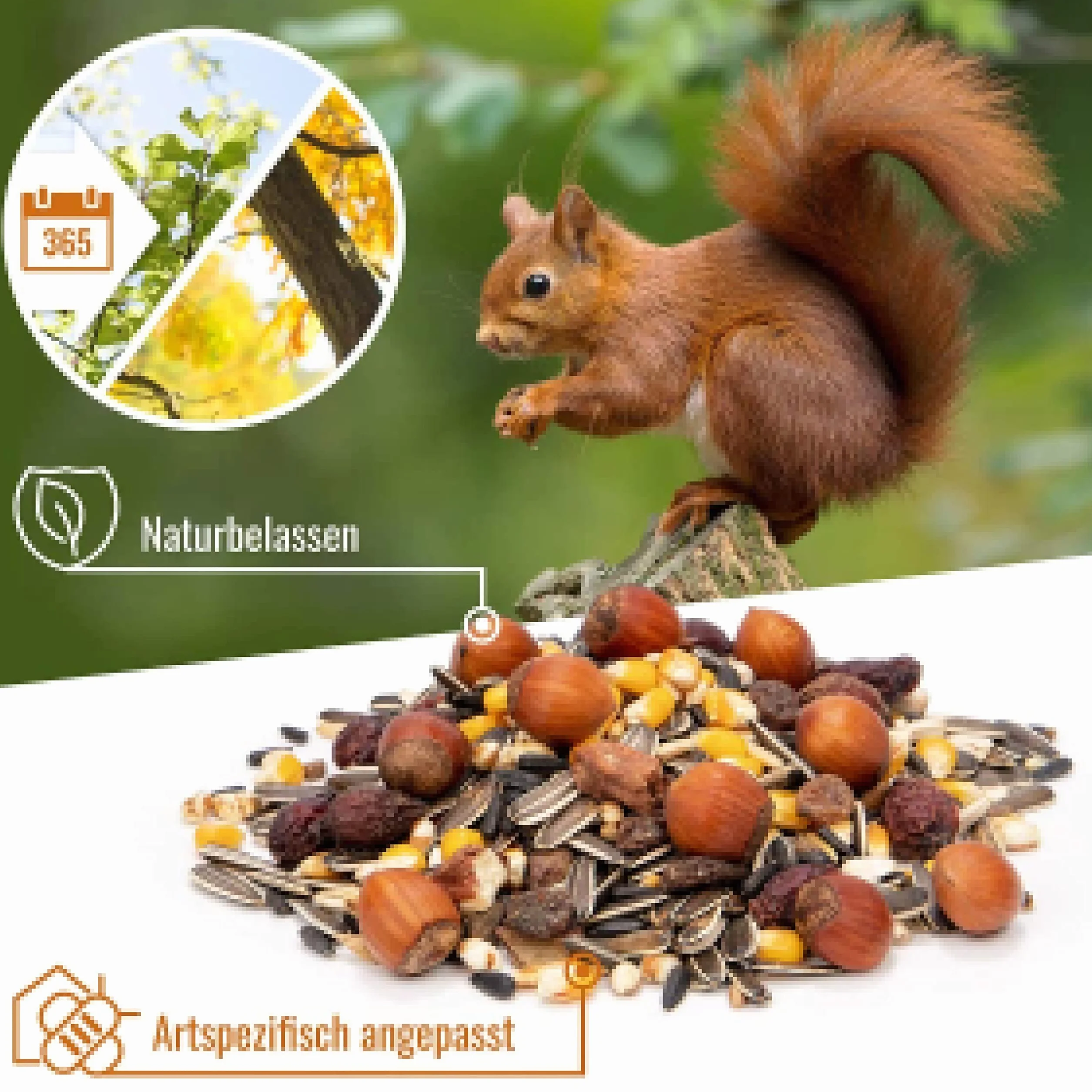 Mélange pour Écureuils et Tamias 2 kg - Aliments de Première Qualité avec Poudre d'Amande et Graines d'Arachides