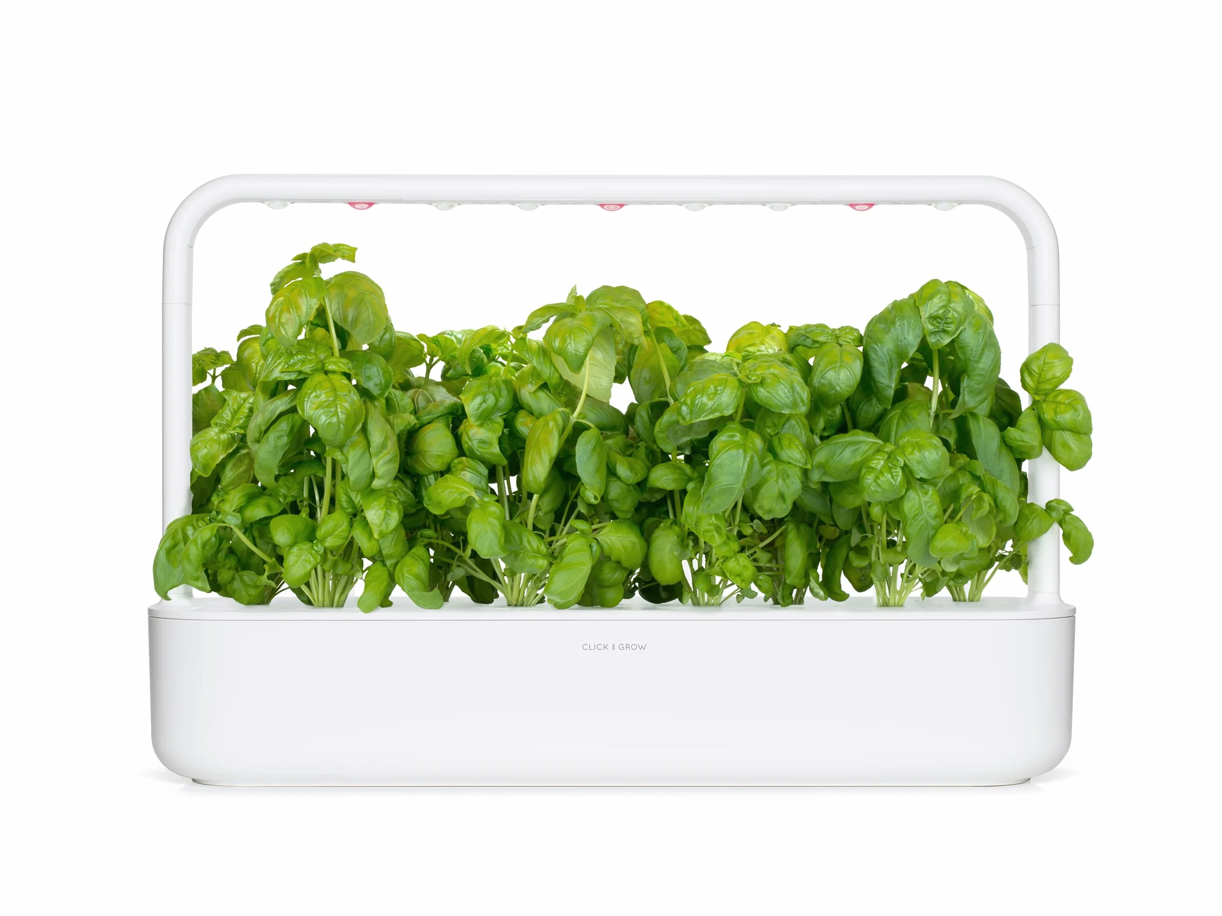 Click and Grow Smart Garden Recharge Triple de Basilic