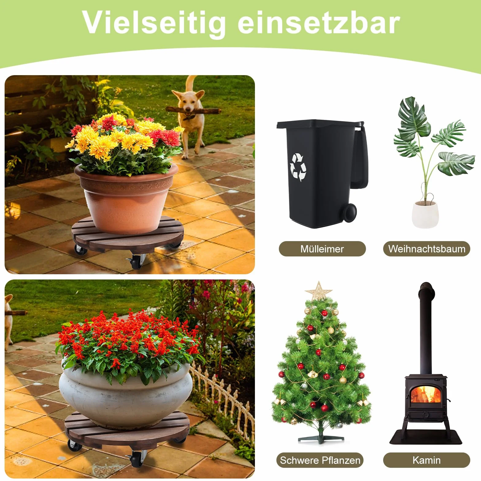 HOHY Chariot pour plantes d'extérieur résistant aux intempéries 2 x 30 cm avec roues pivotantes 360°