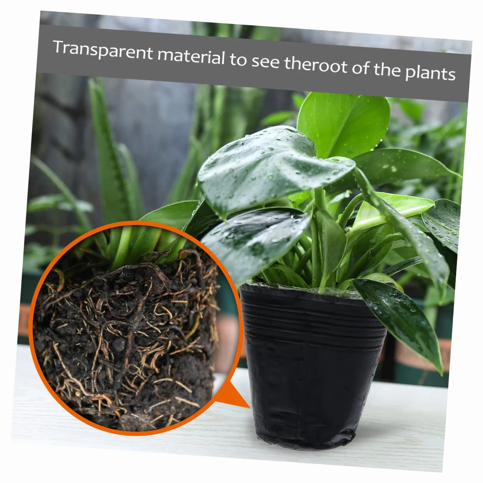 Hemobllo 500 pièces Pots de Nutrition pour Plantes Contenants de Repiquage avec Drainage Godets de Culture Jardinage Lot