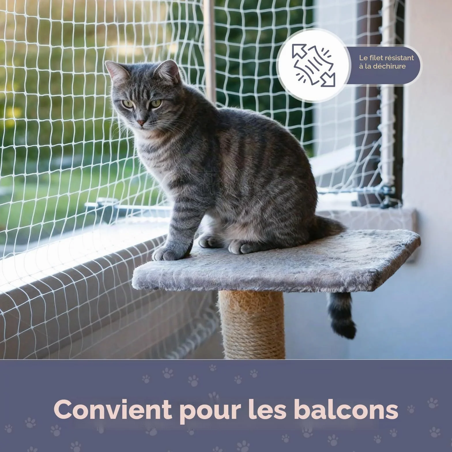 Filet de Protection Chat Balcon Nylon Forte Résilience Anti Oiseaux Jardin 5x5m Transparent