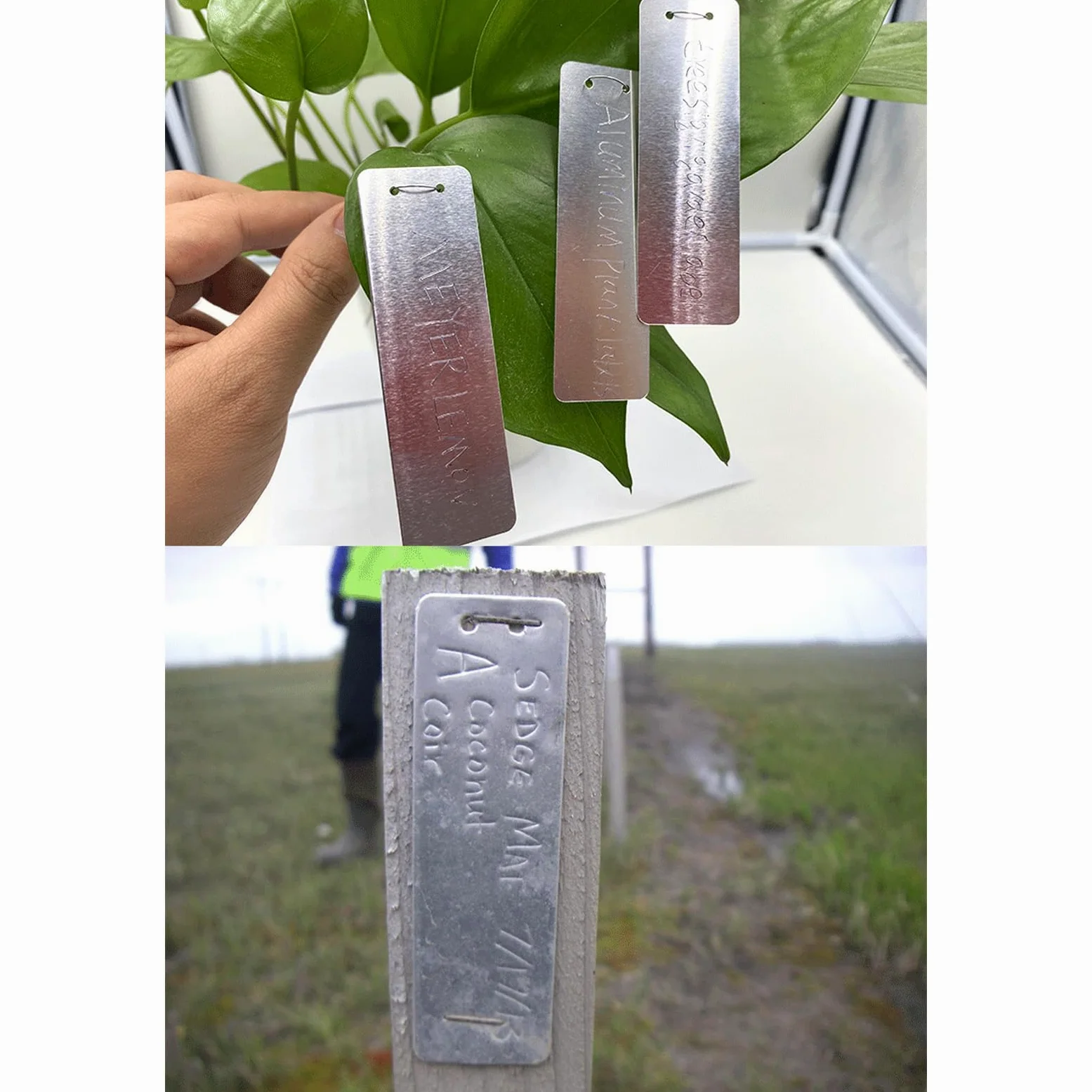 Étiquette de plante en aluminium 100 pièces, étiquettes de plante en métal, étiquettes d'arbre d'écriture double face avec des fils métalliques, marqueurs de plante étanches